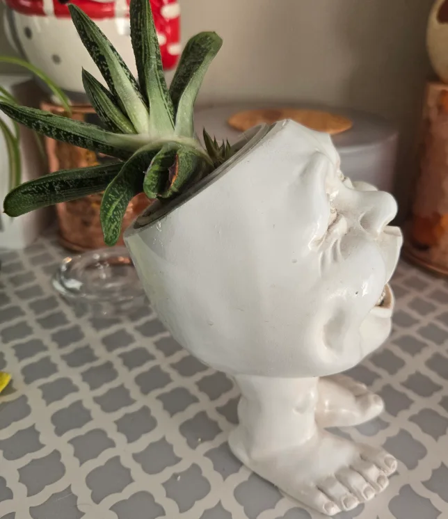 Unique Face Planter with Succulent image indicator(2)