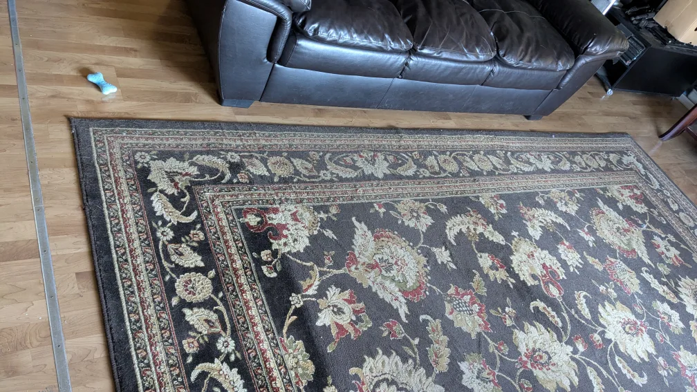 Large Floral Area Rug image indicator(2)
