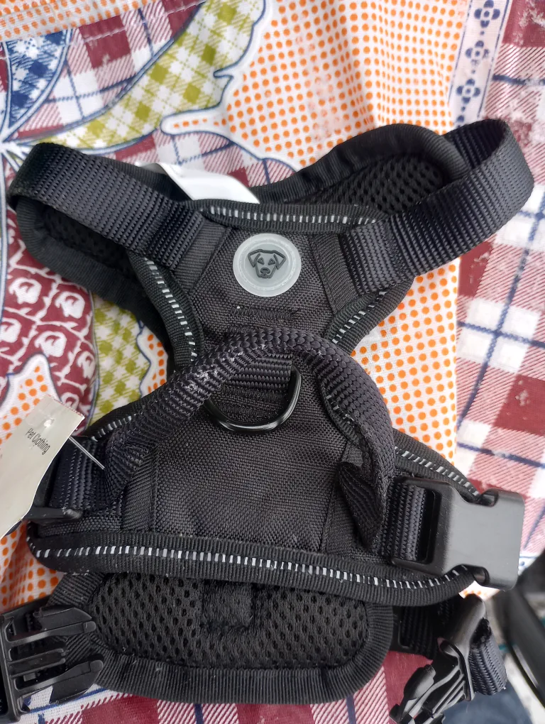 Black Dog Harness - Small# freecycle image indicator(2)