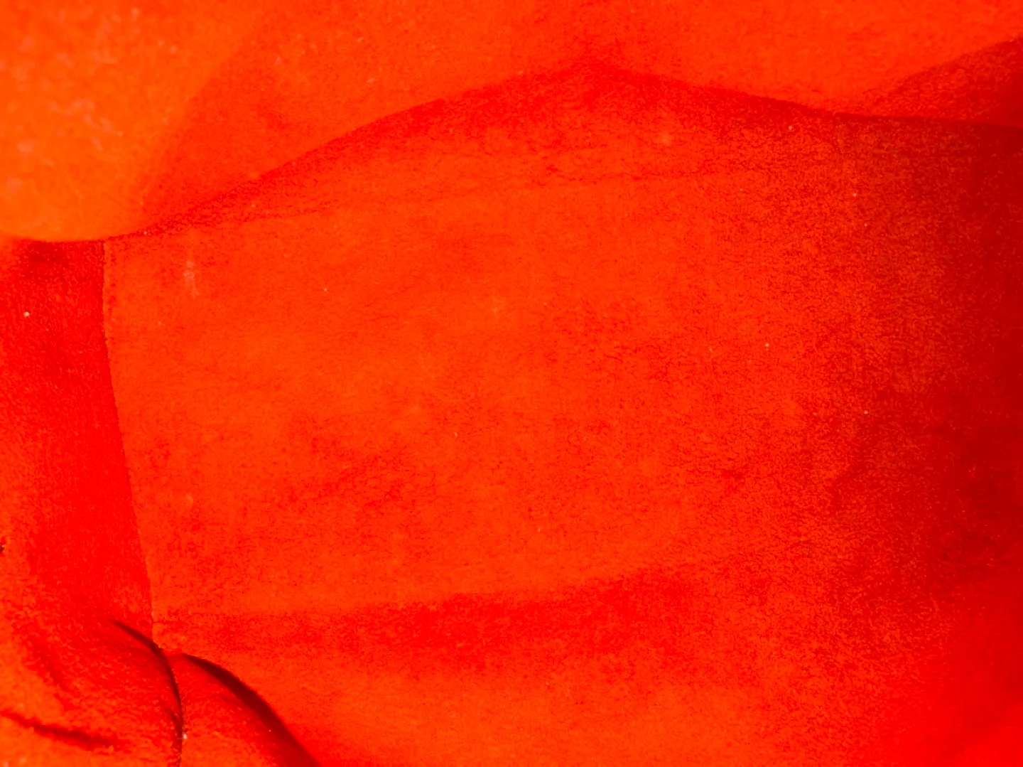 Louis Vuitton Damier Ebene Brera image indicator(10)