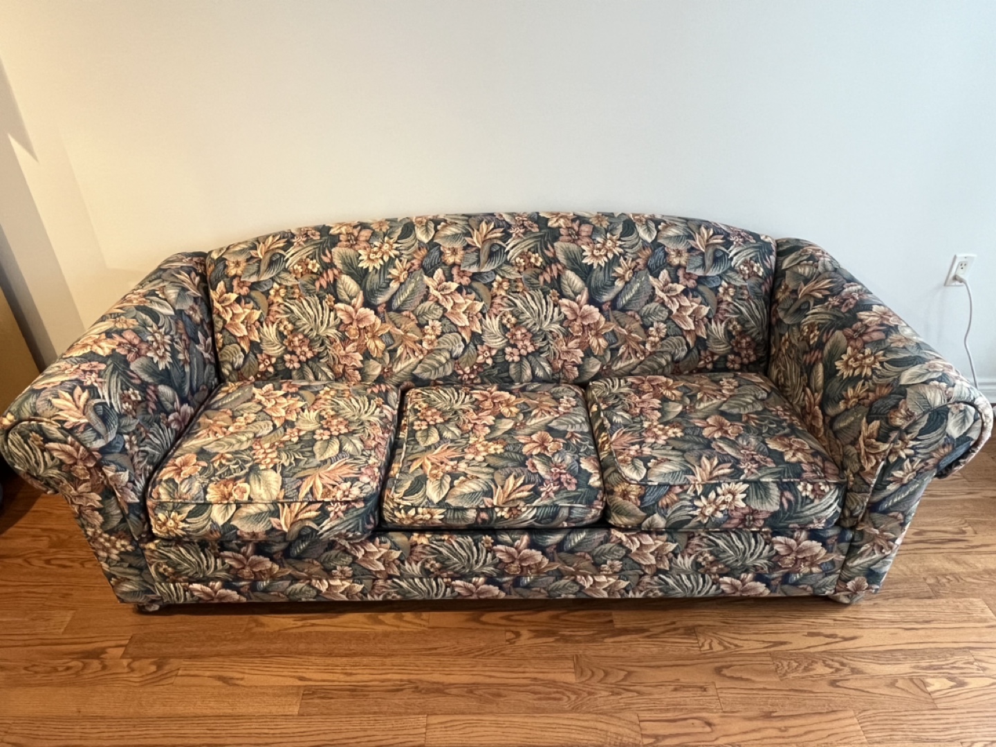 Queen size pull out couch