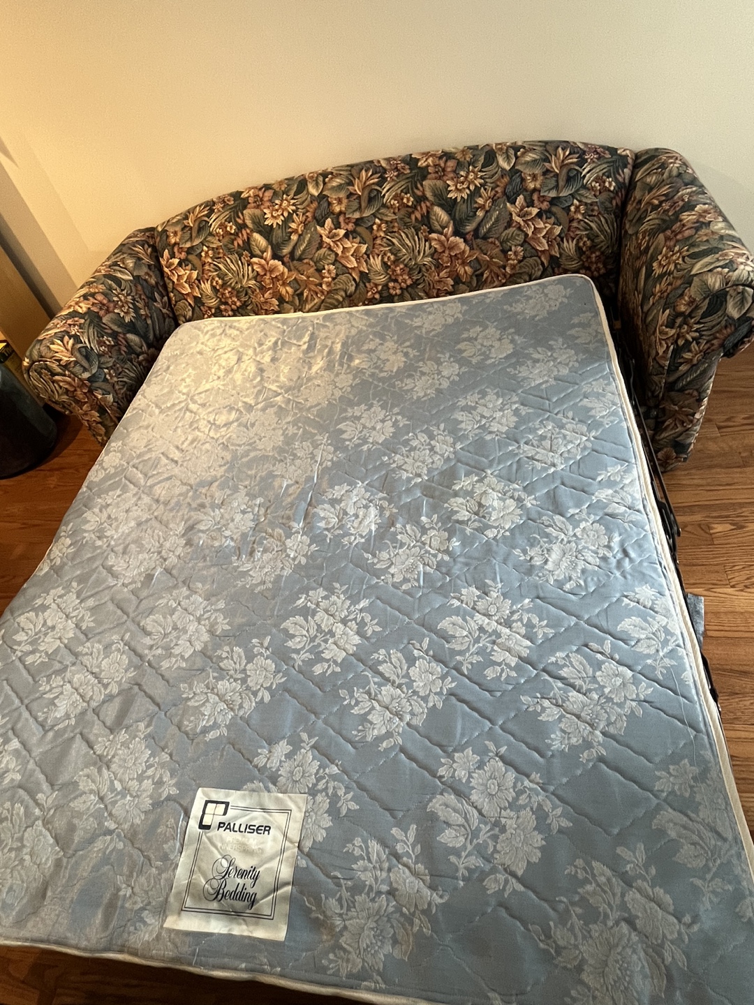 Queen size pull out couch - photo 2