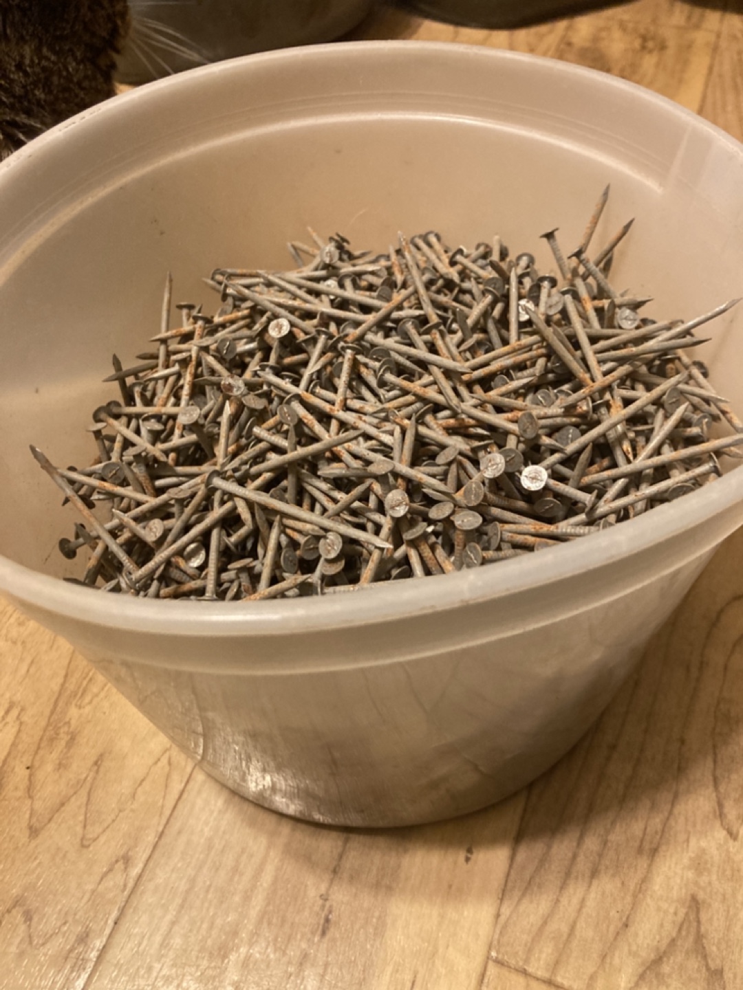 8.15 lbs of 2" Nails
