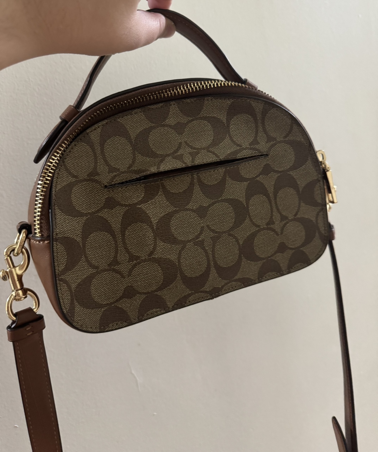 Coach Half Moon Bag with Multicoloured Stripes - photo 4