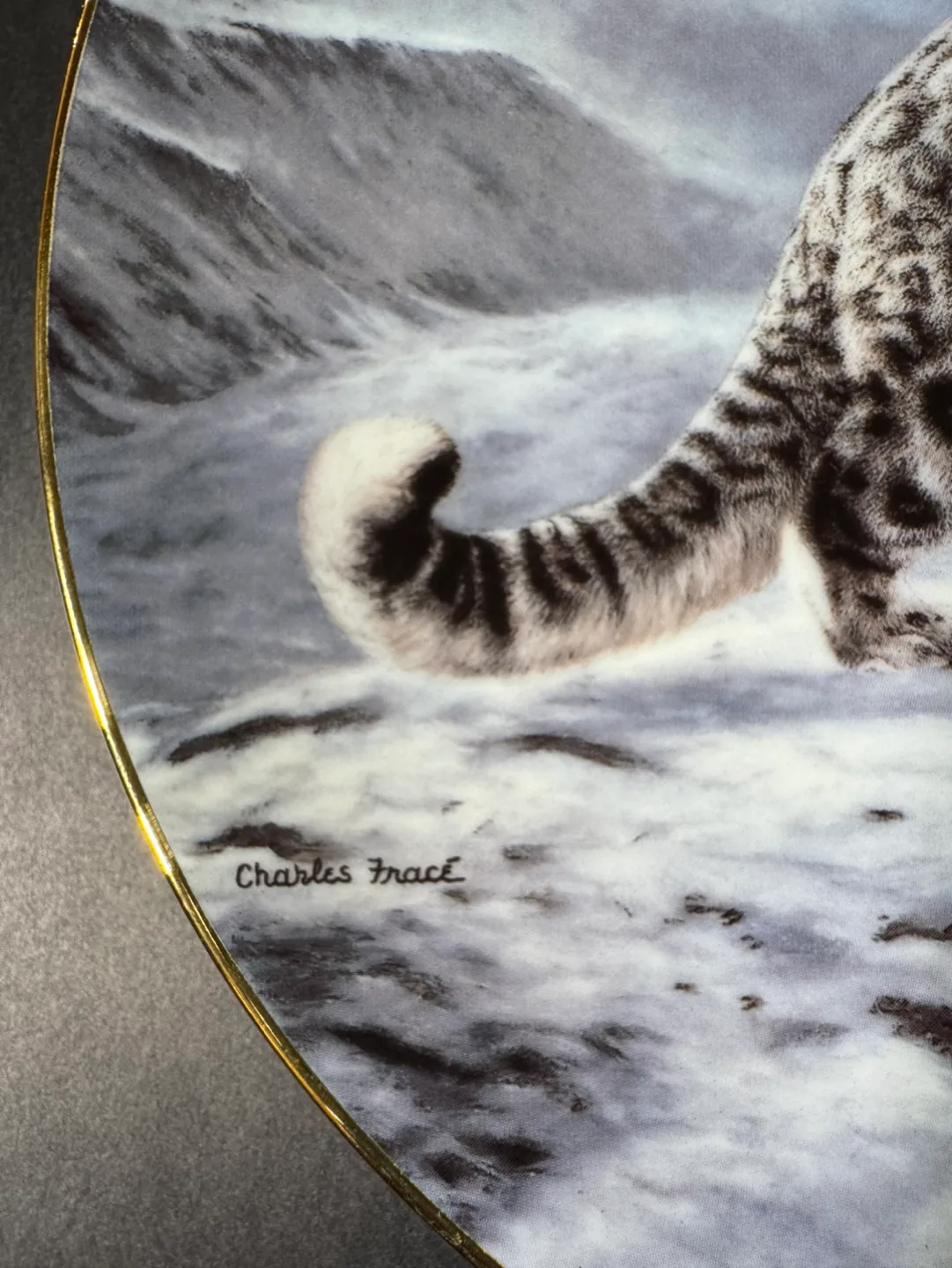 Charles Fracé The World's   Cats Collector Plates Set of Four image indicator(8)