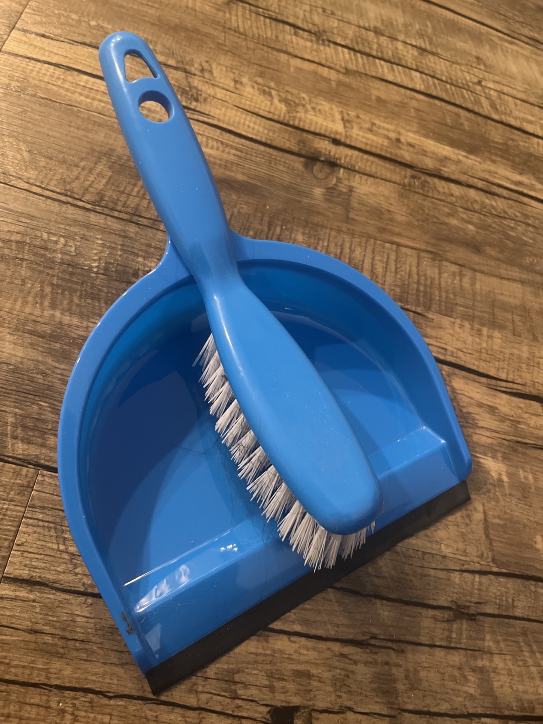 Blue Dustpan and Brush Set #Freecycle
