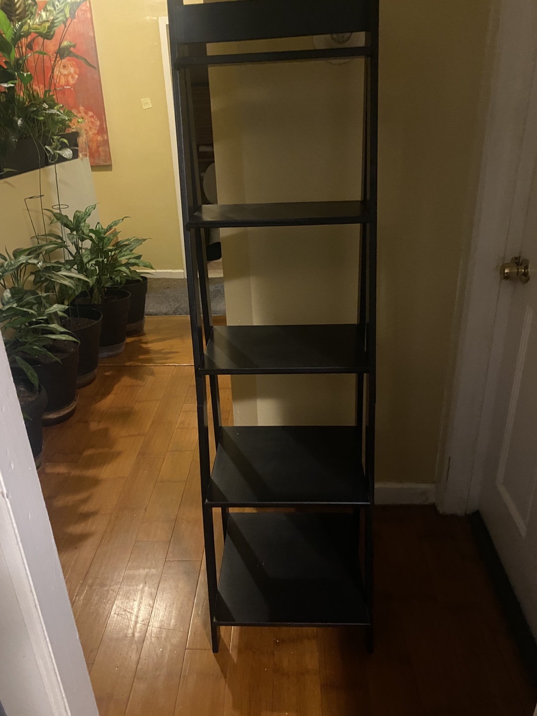 Black Ladder Shelf