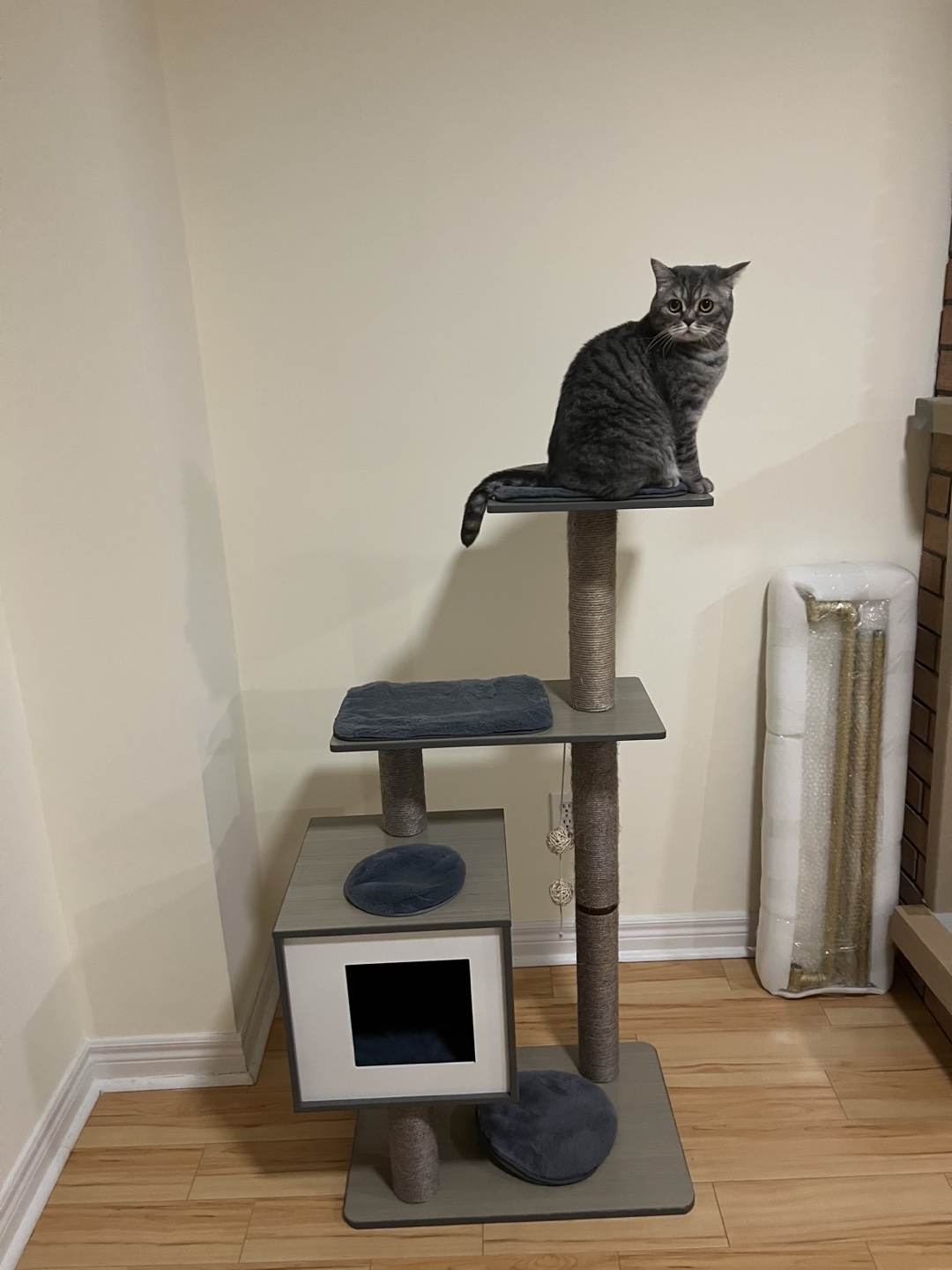 Modern Cat Tree Condo - photo 3