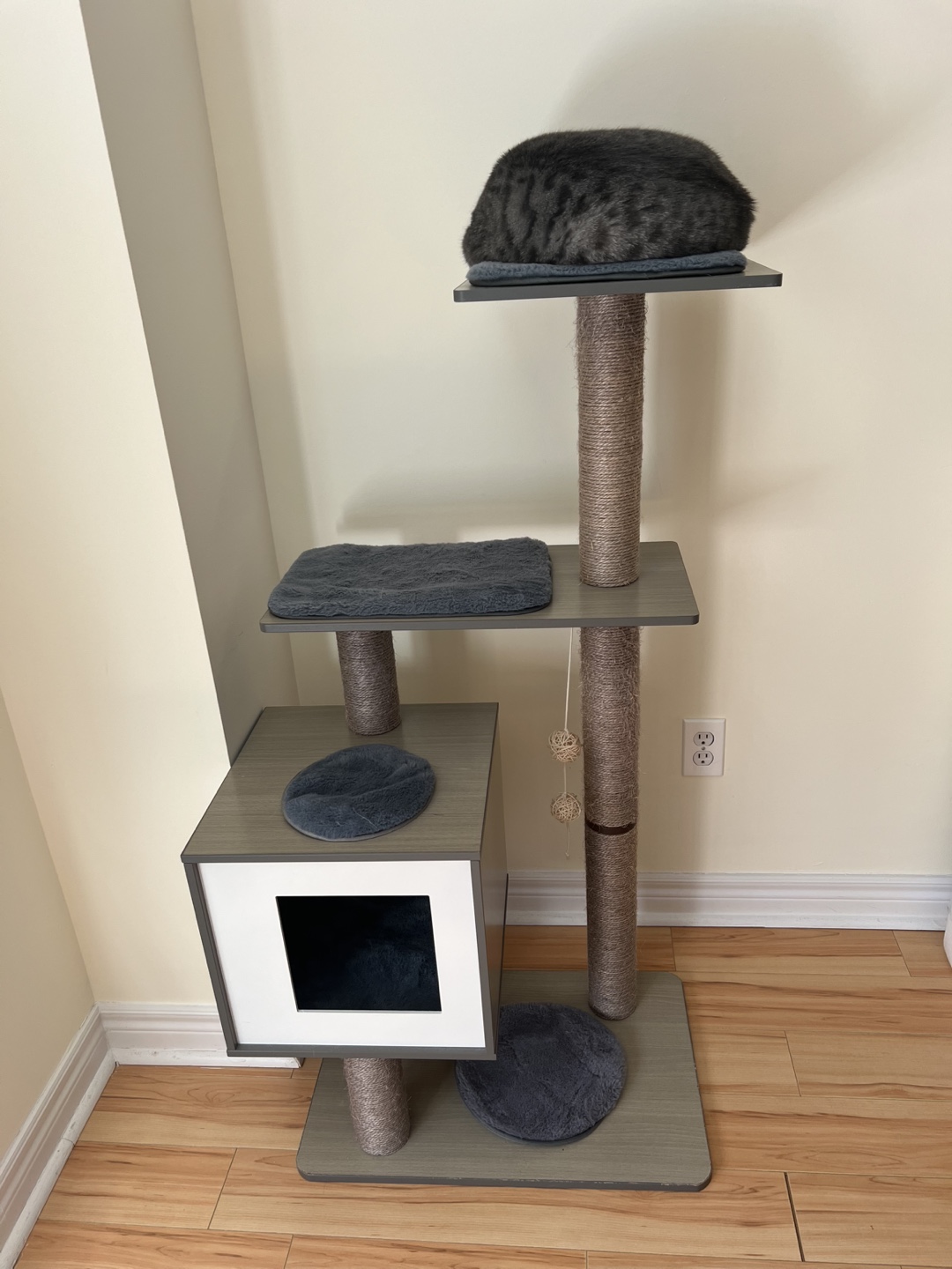 Modern Cat Tree Condo