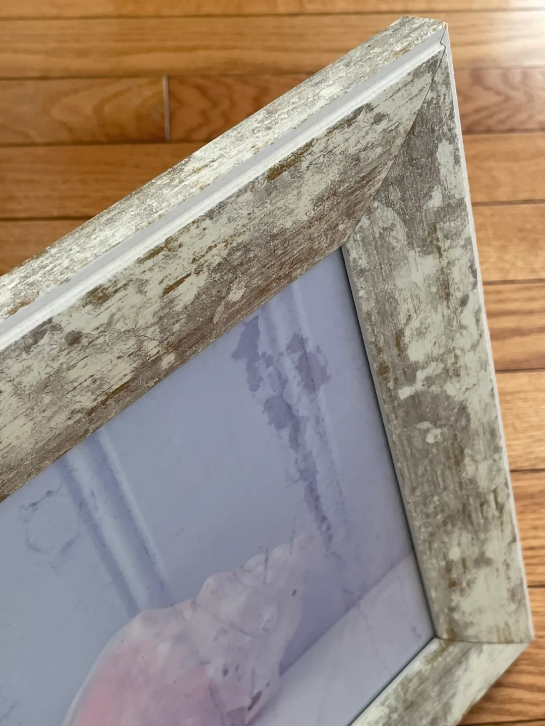 Framed Seashell Photograph image indicator(2)