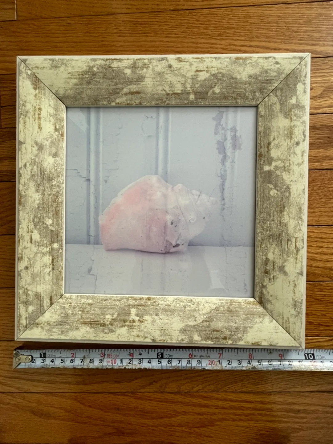 Framed Seashell Photograph image indicator(3)