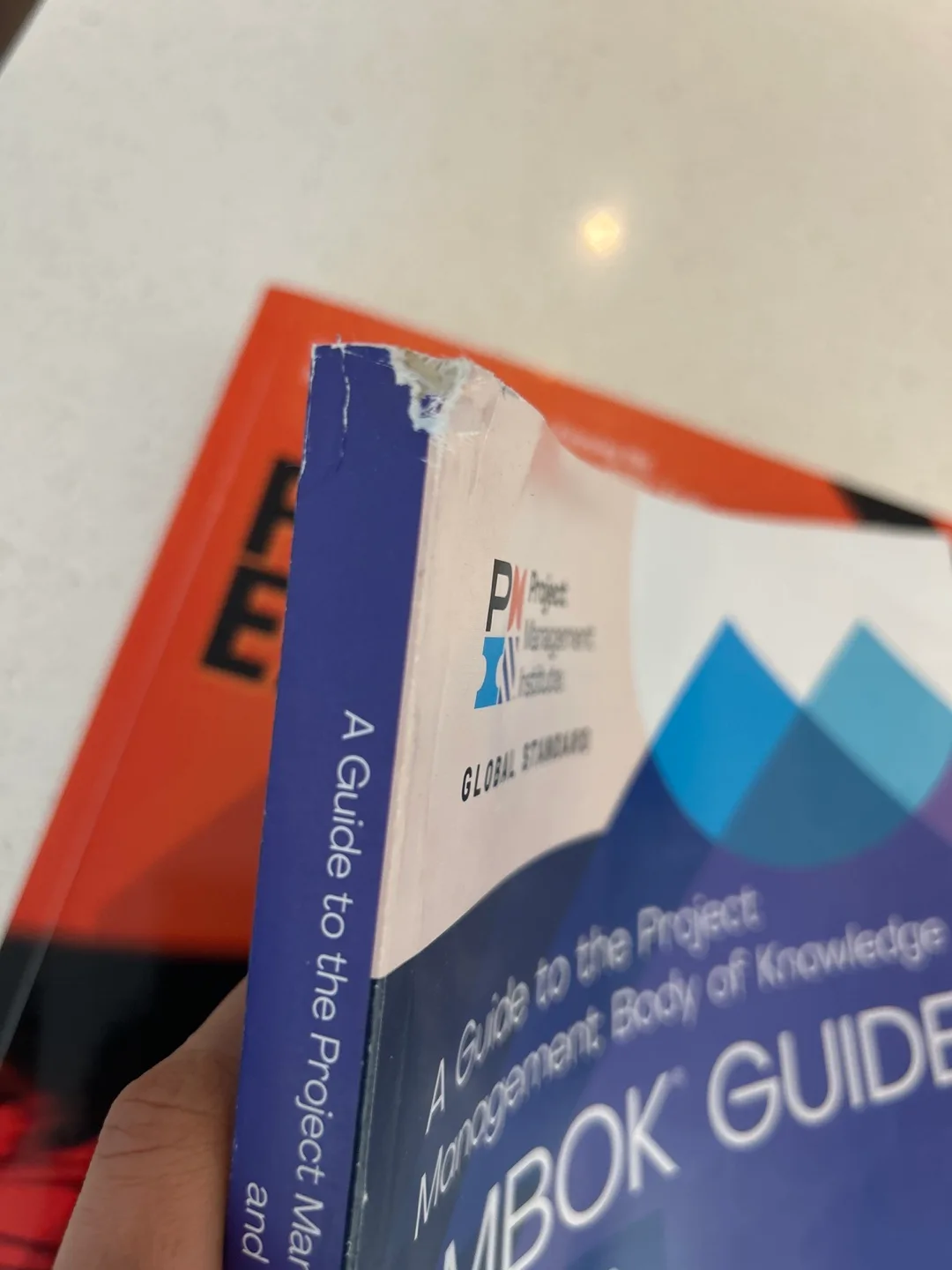 PMBOK Guide Seventh Edition - Project Management Institute image indicator(2)