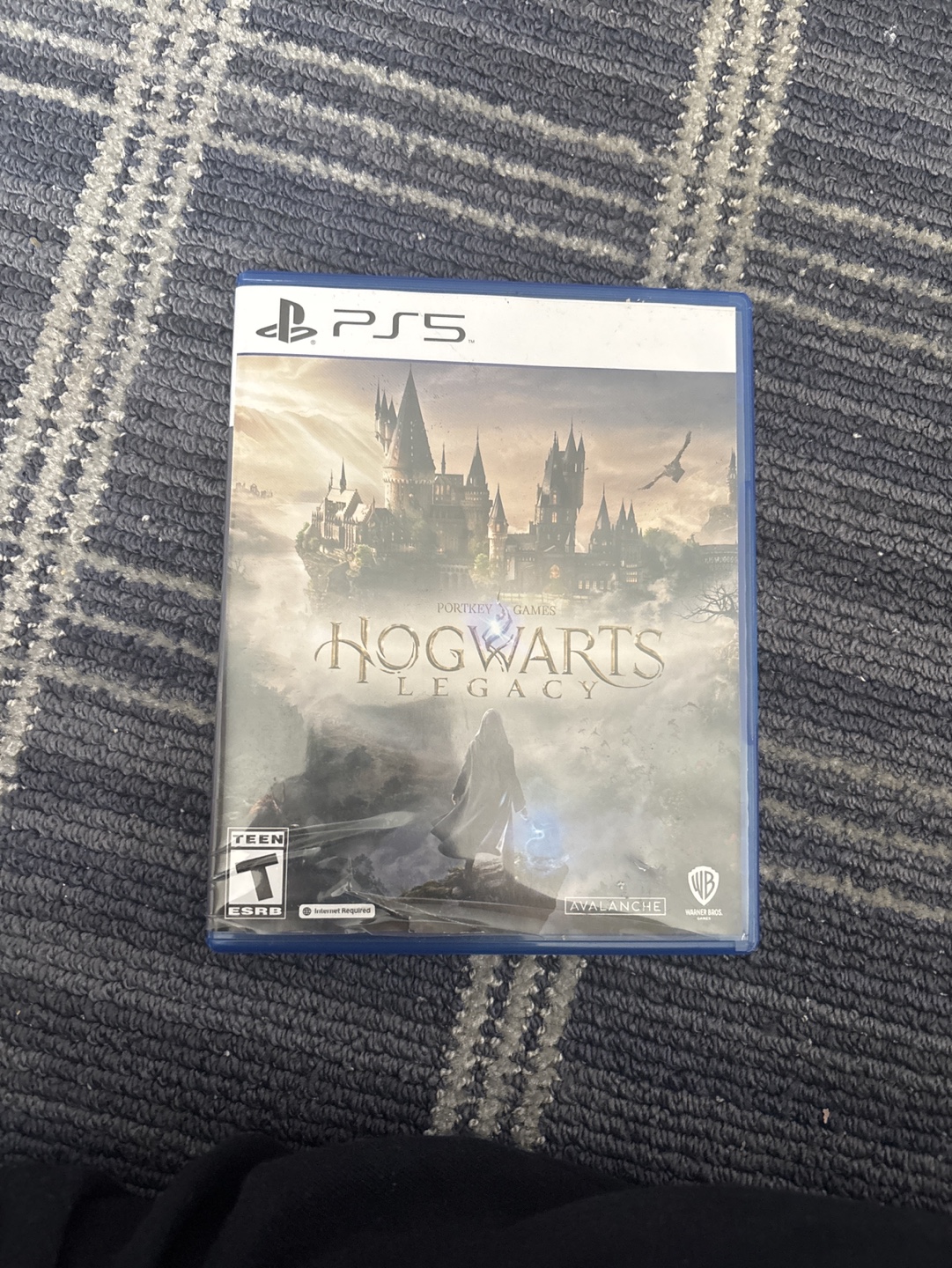 Hogwarts Legacy PS5 Game