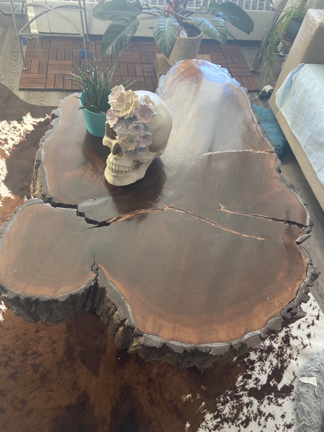 Live Edge Coffee Table with Metal Legs
