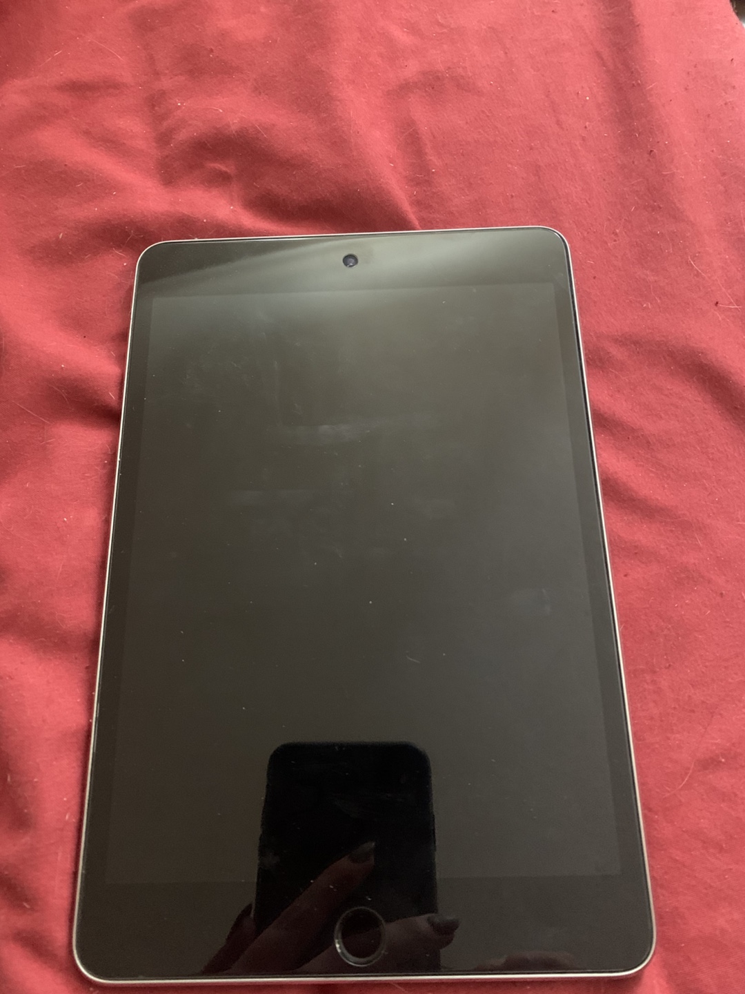 iPad mini 4 16gb