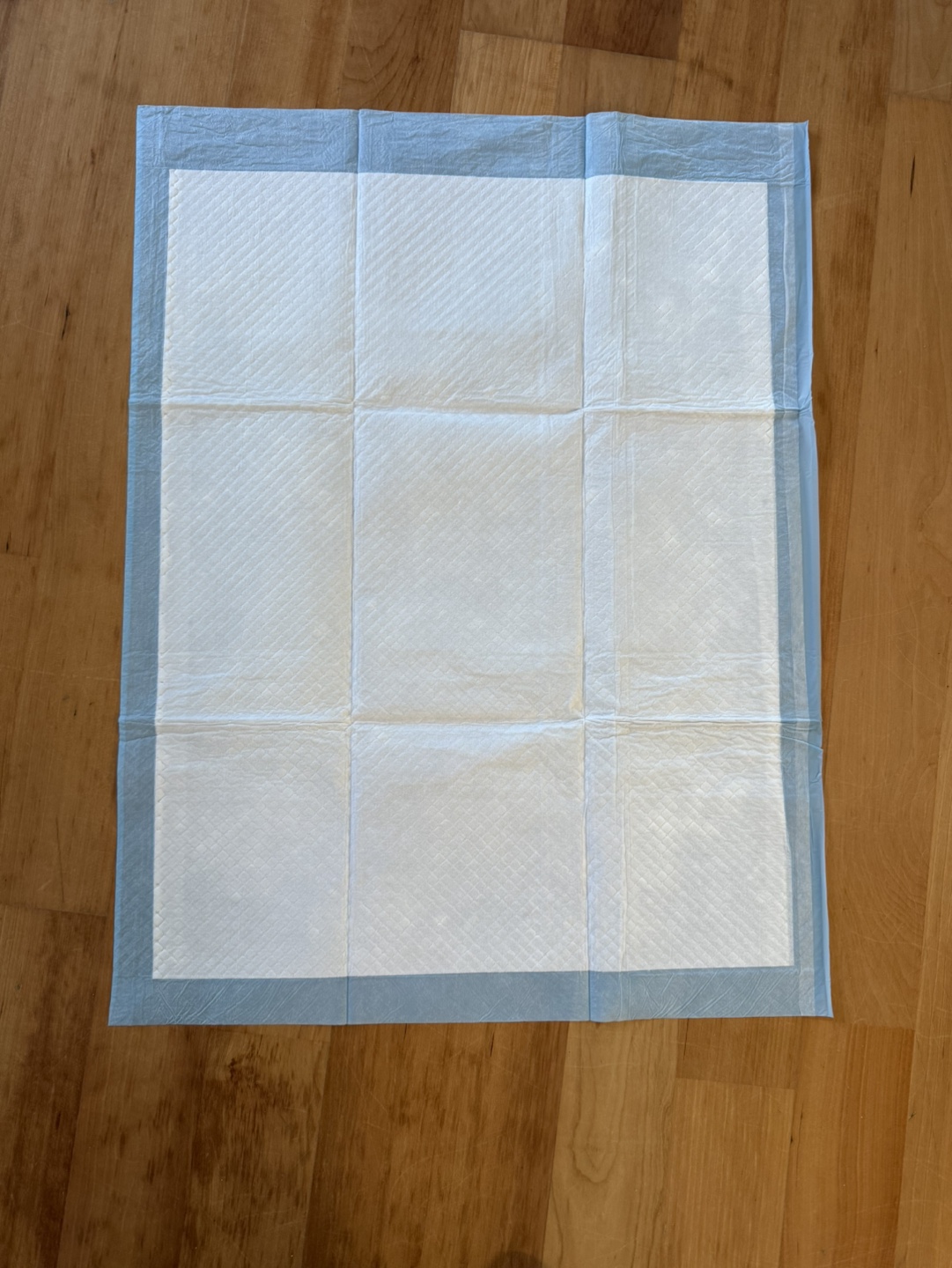 40 Pet Training Pads