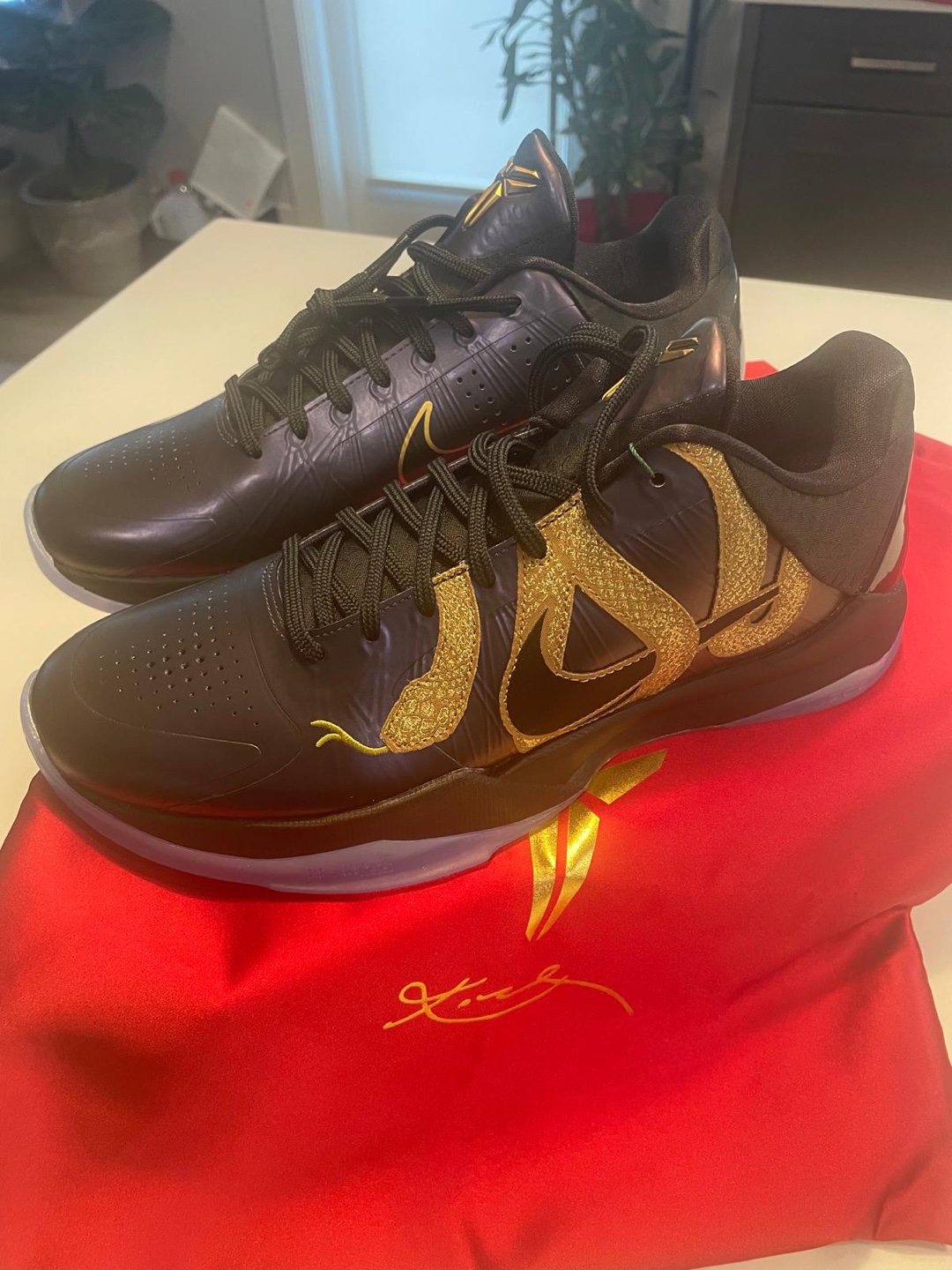 Nike Kobe Protro 5 - Eggplant “Year of the Mamba”