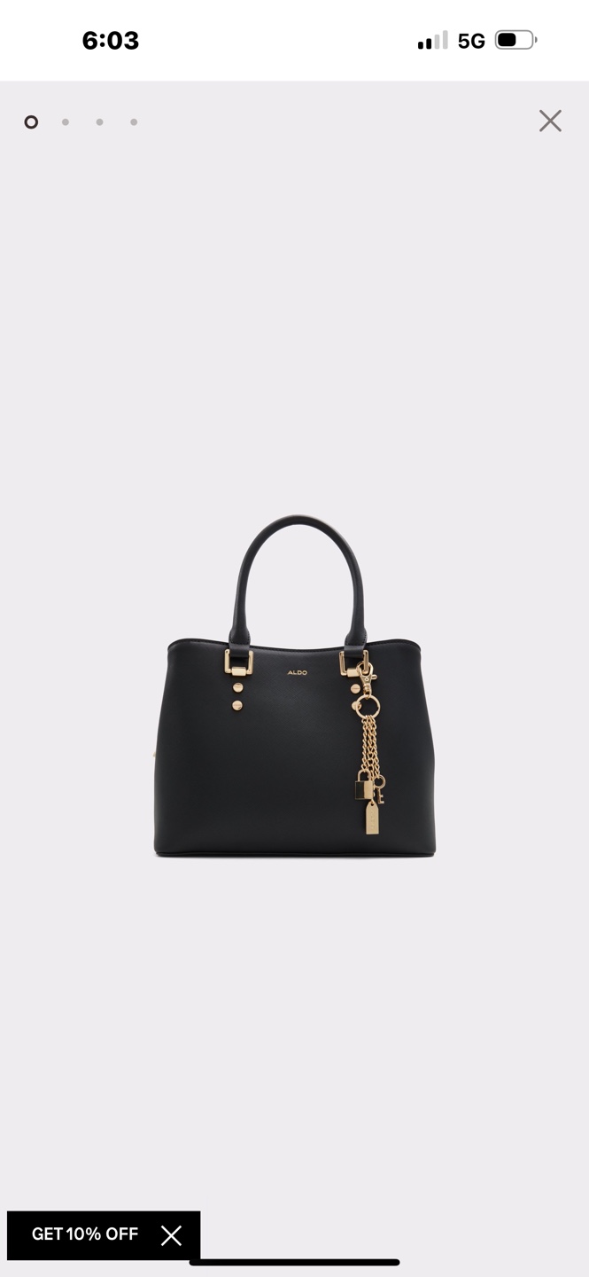 ALDO Black Handbag