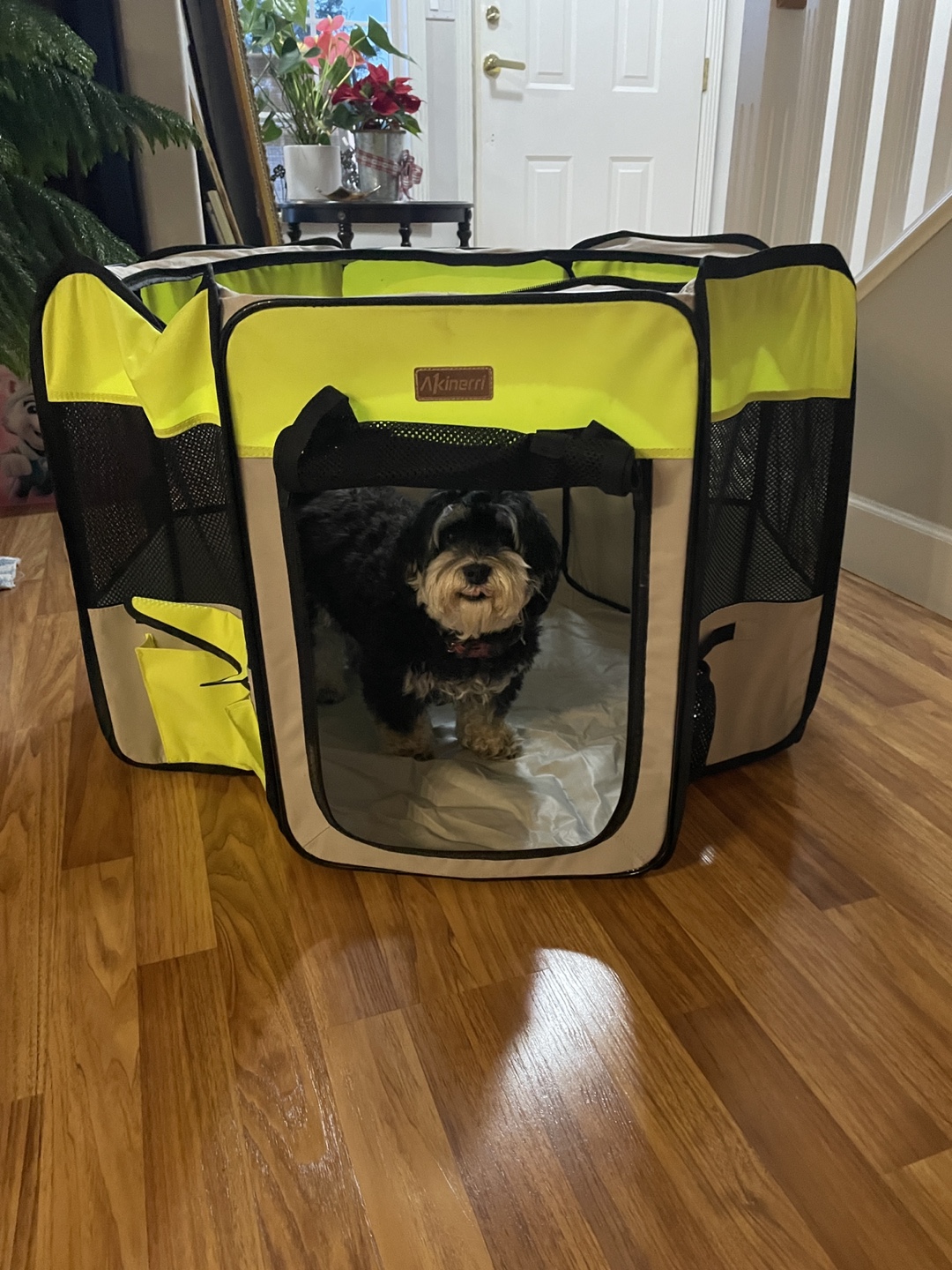 Akinerri Medium Foldable Dog Playpen - photo 2