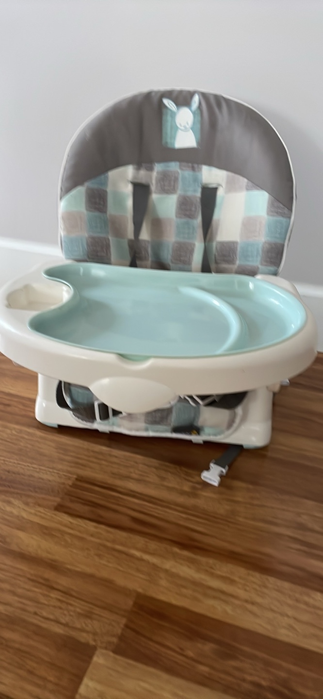 Safety 1st Baby Booster Seat with removable Tray - photo 5
