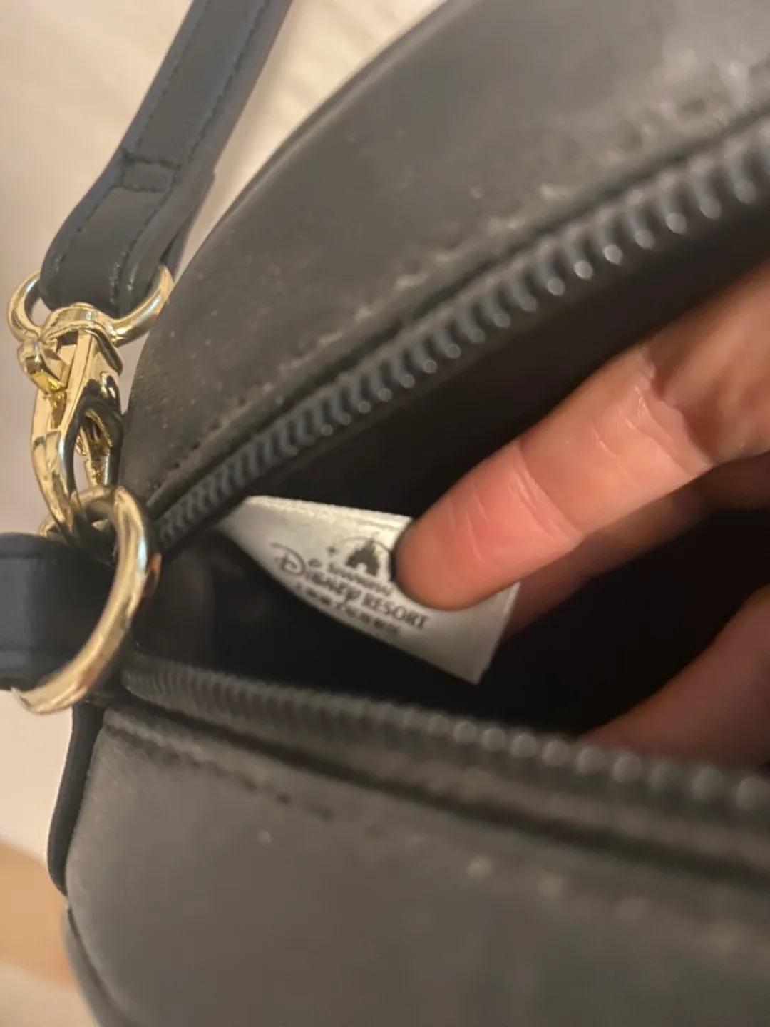 Disney Resort Mickey Mouse Crossbody Bag image indicator(2)