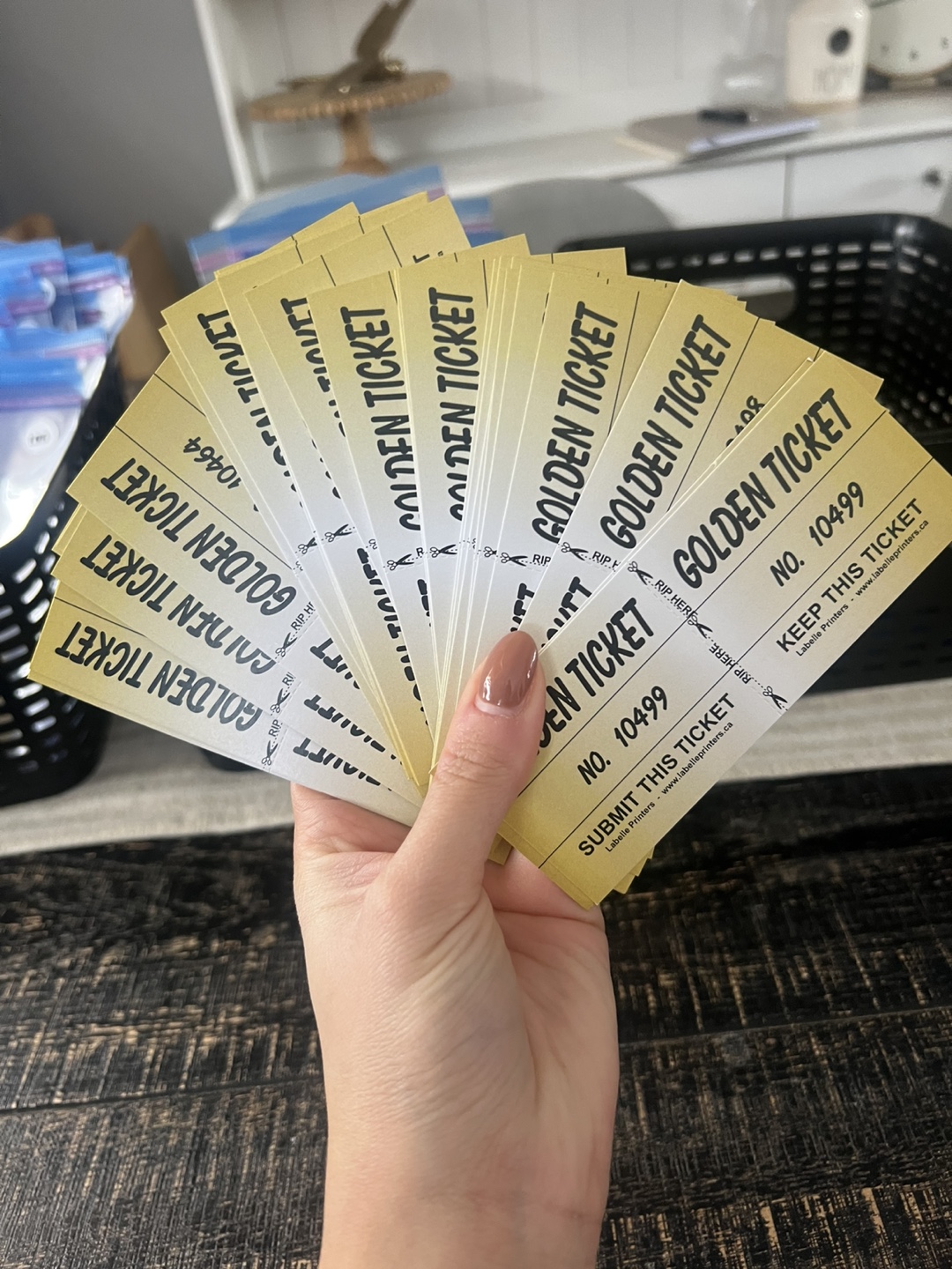 Silent Auction Tickets - Bulk Lot - photo 5