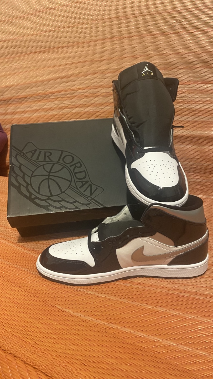 Air Jordan 1 Mid SE