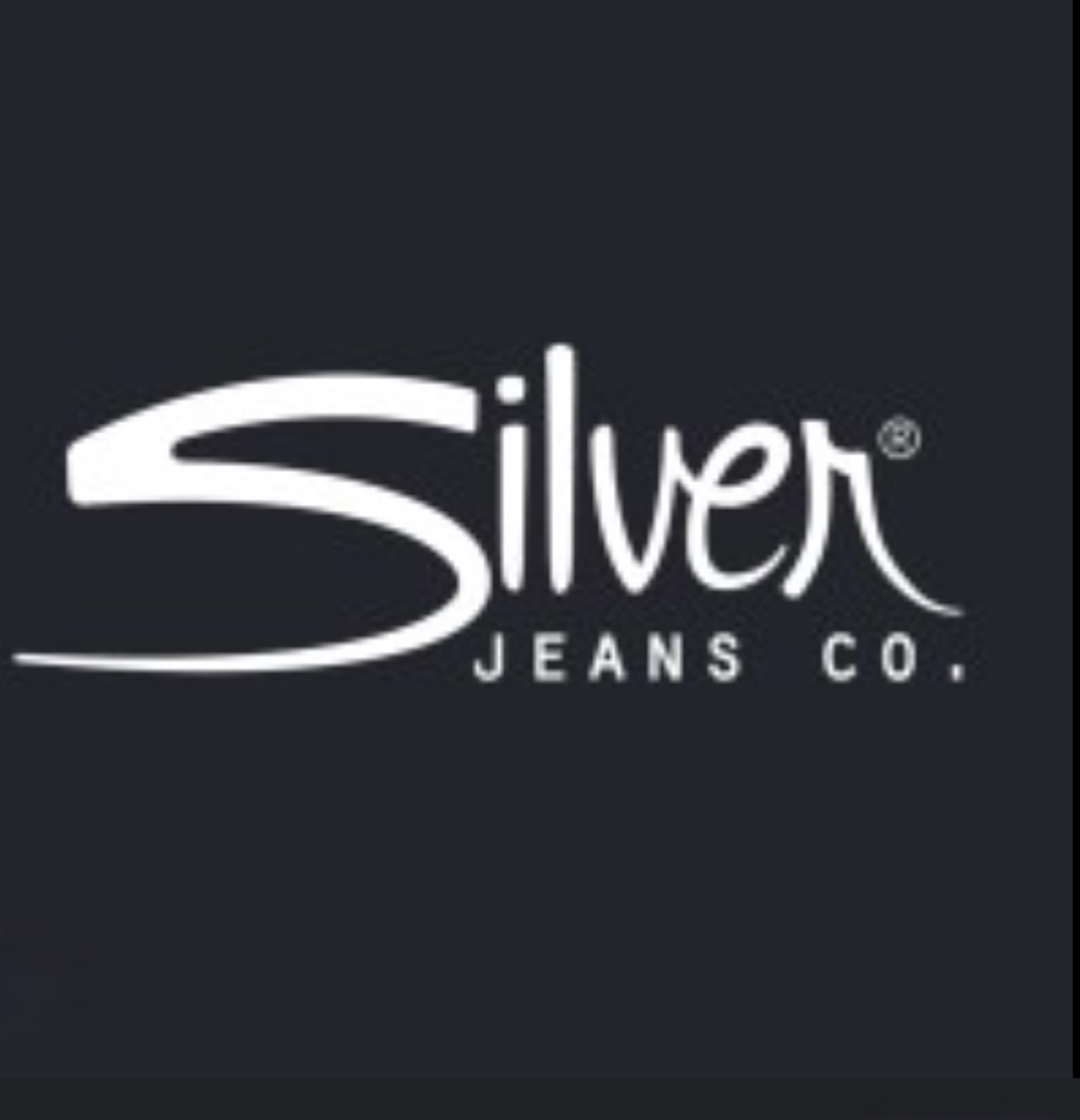 Silver Jeans Co. Women's Jeans