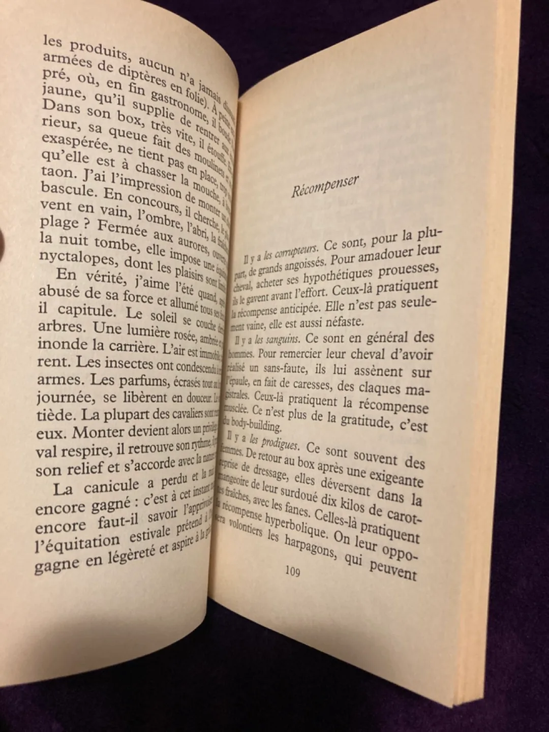 Jérôme Garcin - Perspectives cavalières - Folio Inédit image indicator(3)