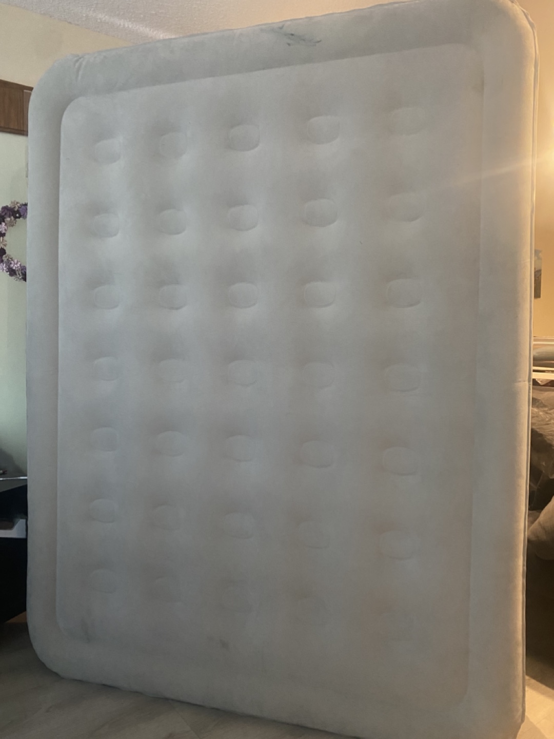 Coleman Queen Air Mattress