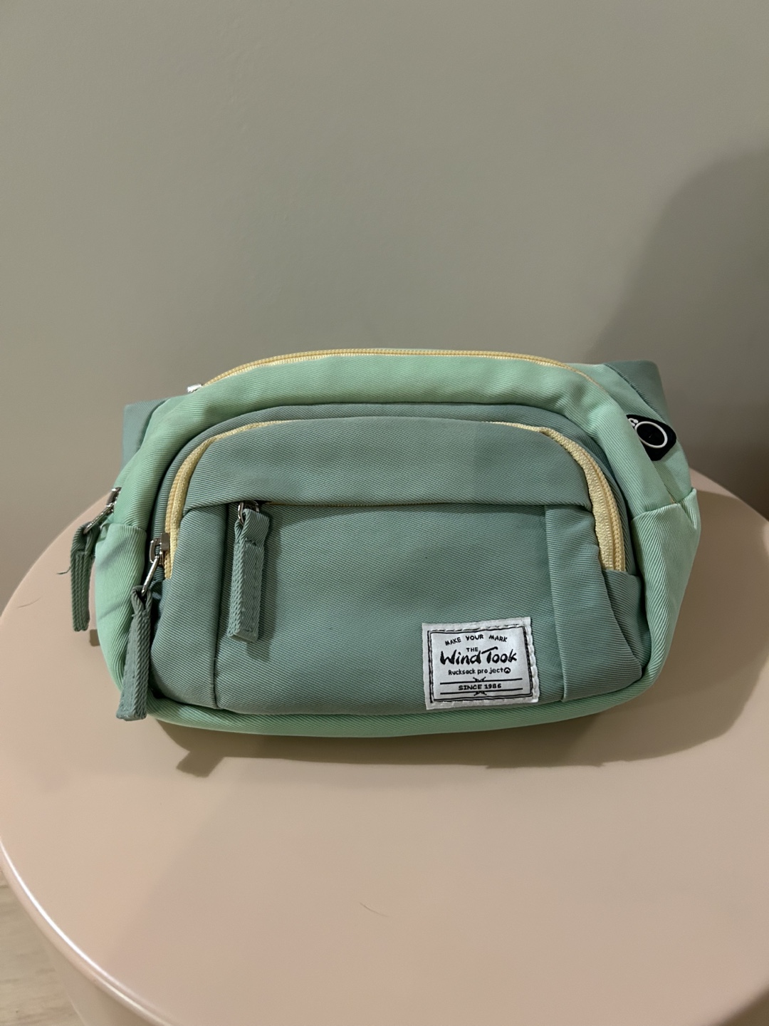 Wind Took Fanny Pack - Mint Green - photo 2