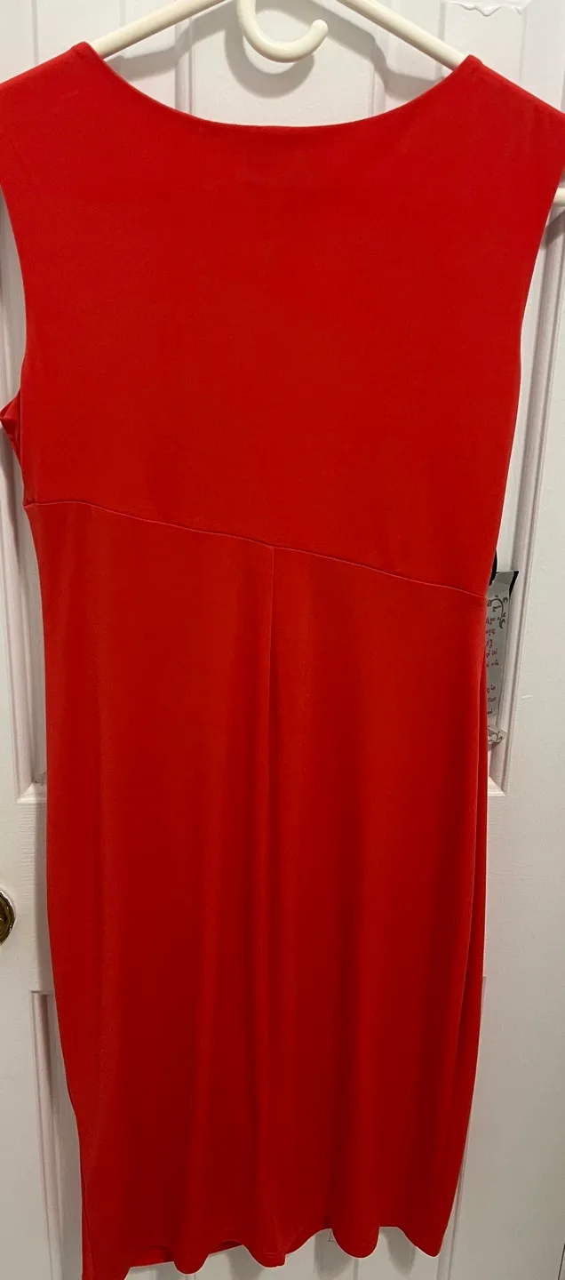 En Focus Petite Coral Dress Size 4P - Small image indicator(2)