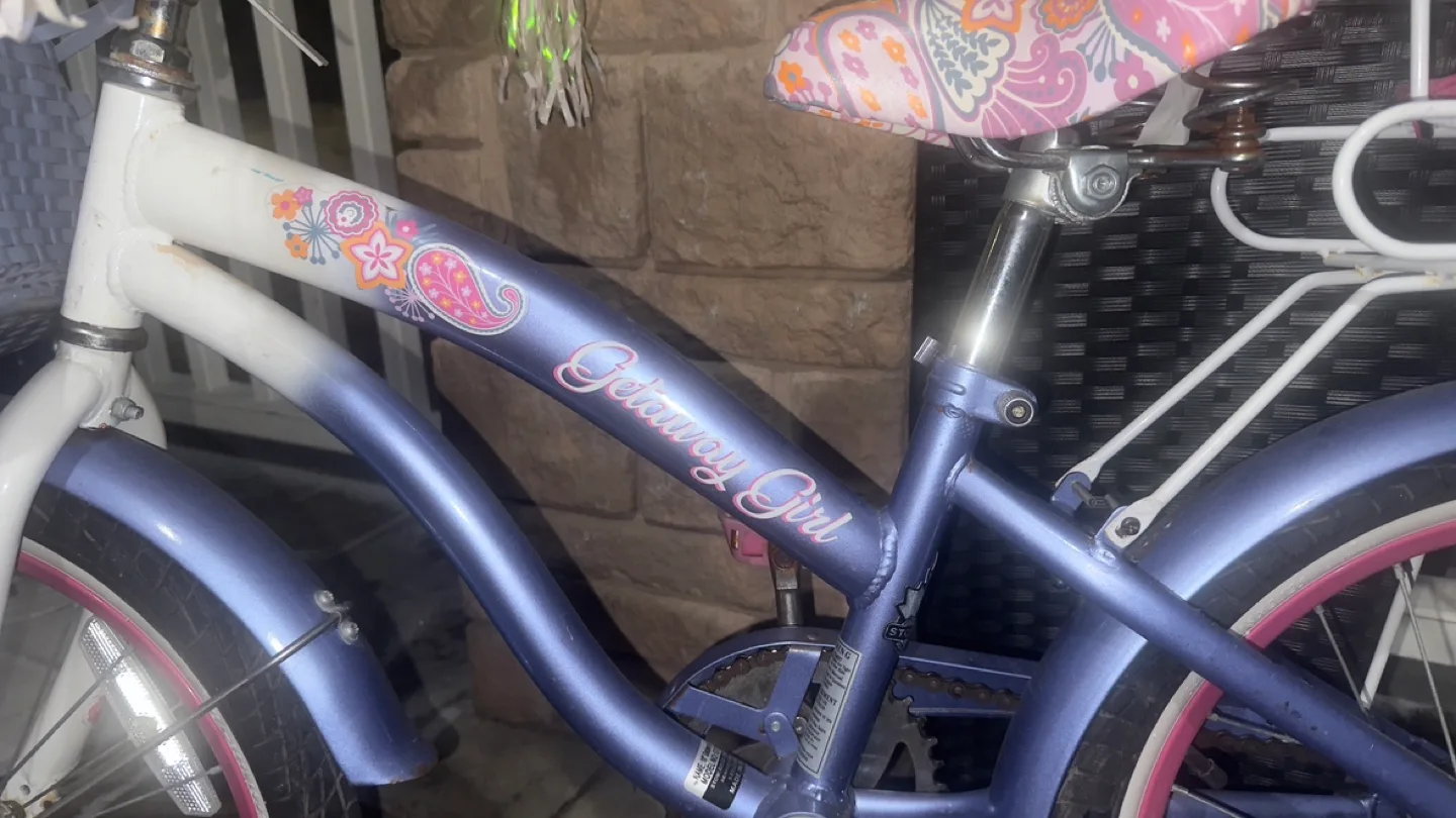 Girls' Getaway Girl Bicycle with Training Wheels image indicator(6)