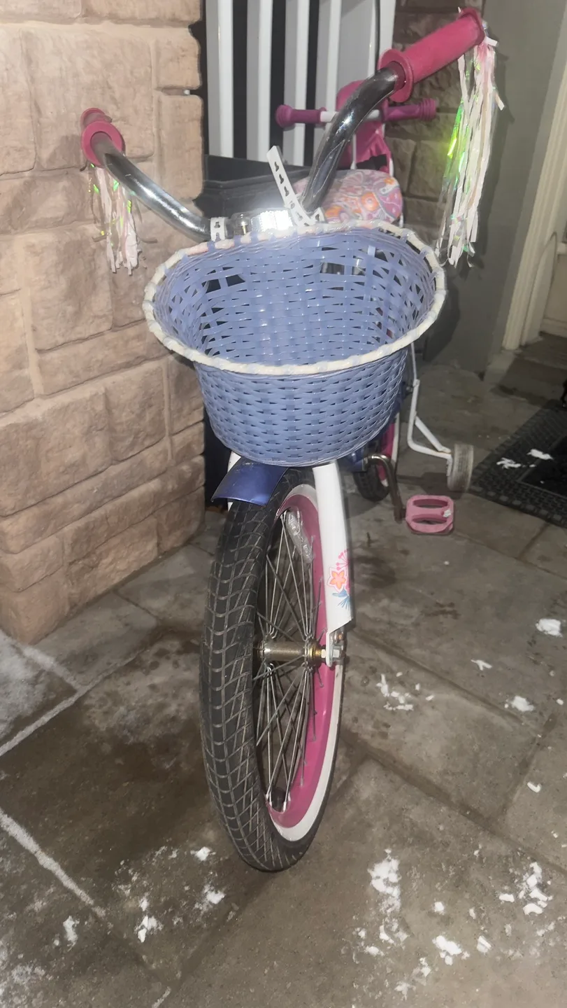 Girls' Getaway Girl Bicycle with Training Wheels image indicator(3)