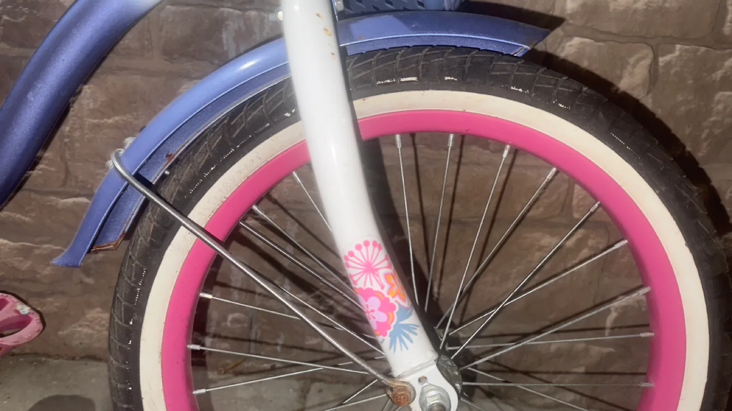 Girls' Getaway Girl Bicycle with Training Wheels image indicator(9)