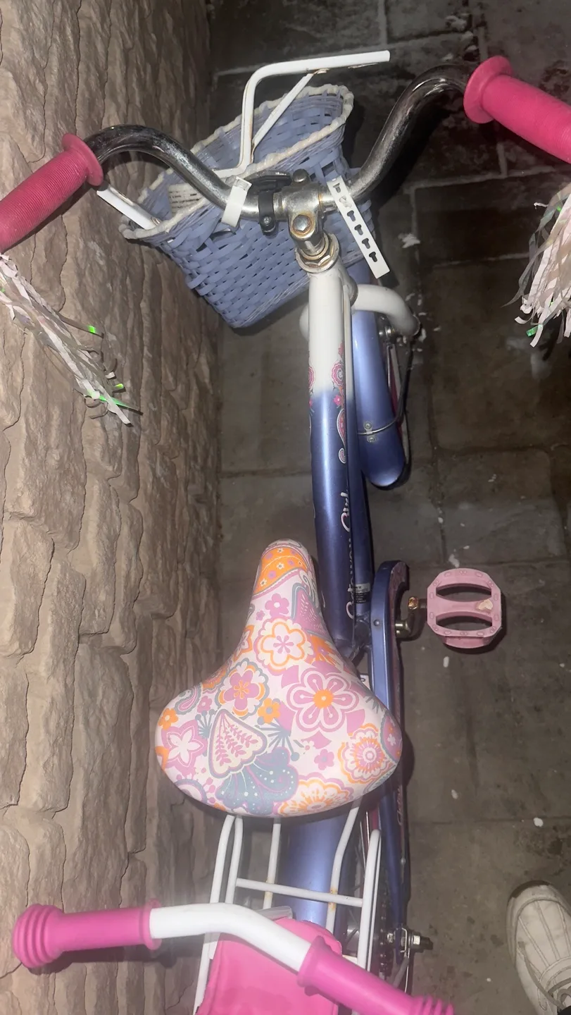 Girls' Getaway Girl Bicycle with Training Wheels image indicator(10)