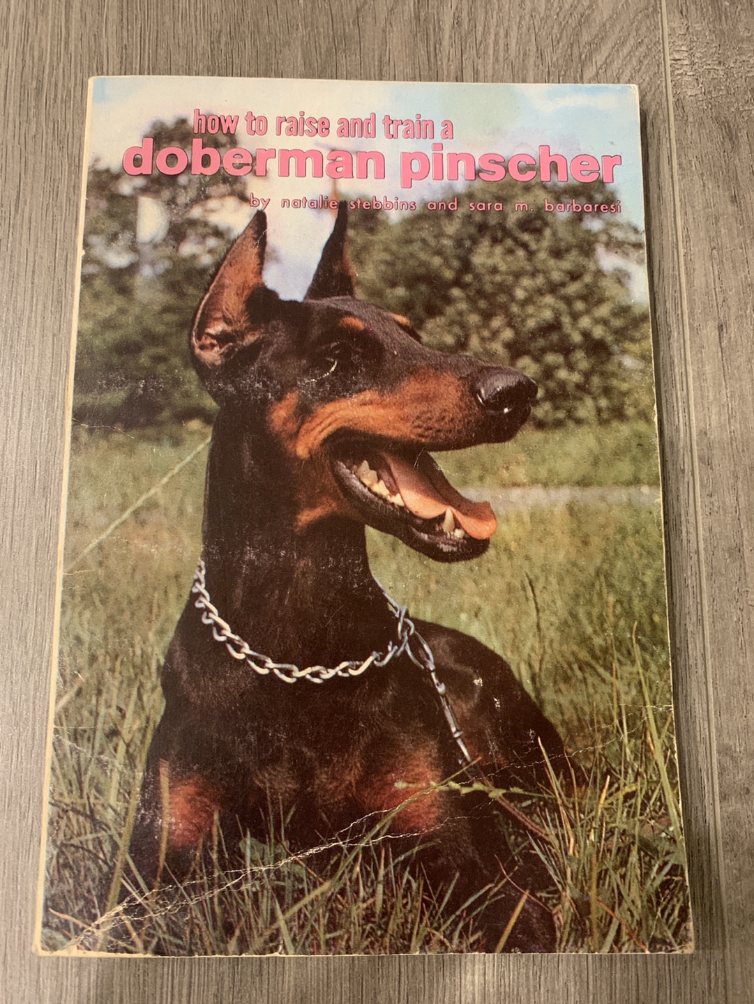 How to Raise and Train a Doberman Pinscher Book