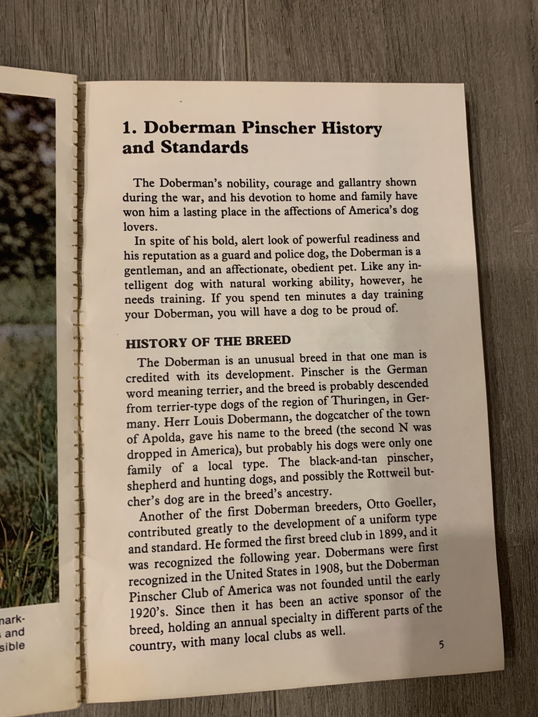 How to Raise and Train a Doberman Pinscher Book - photo 5