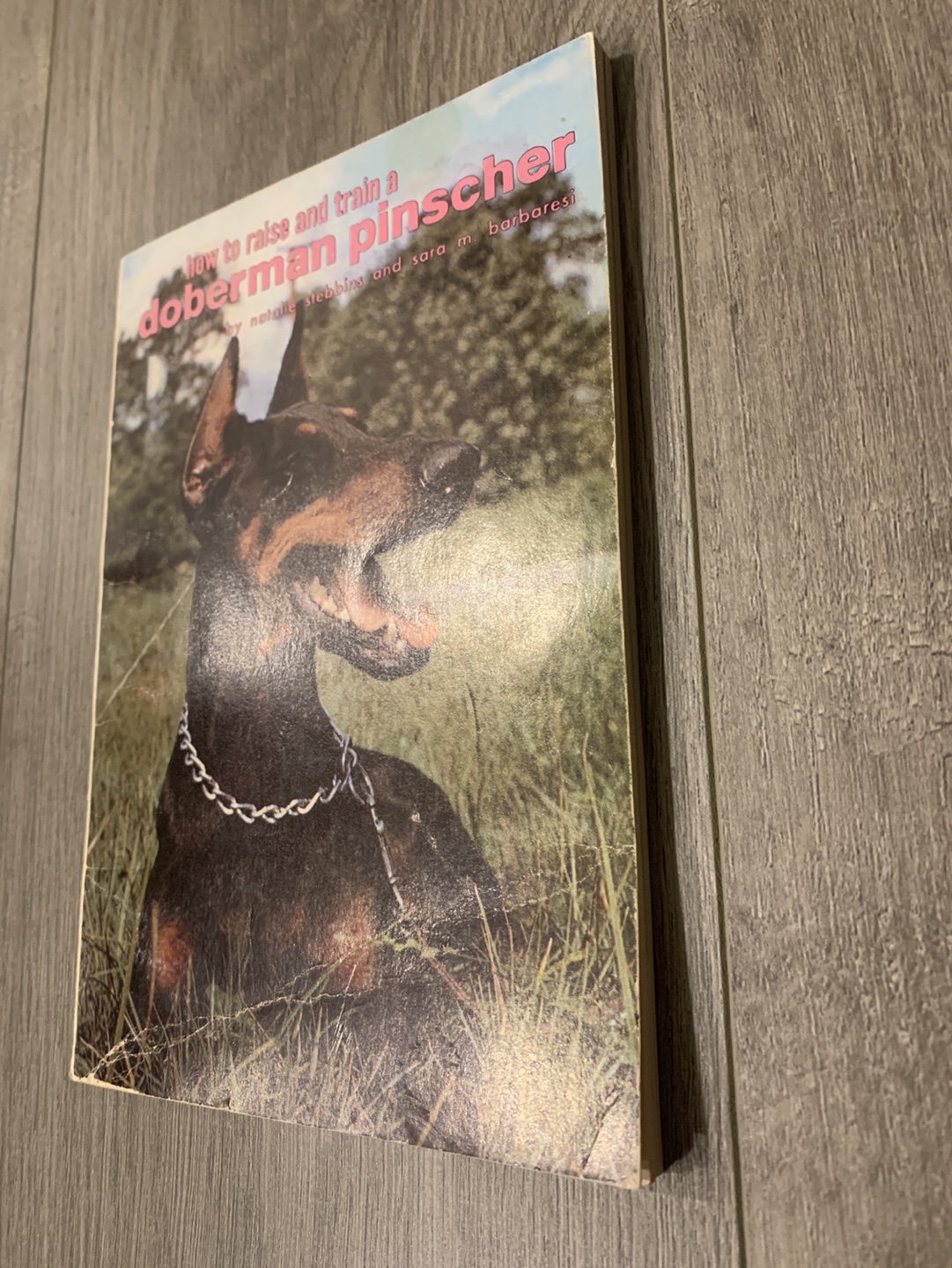 How to Raise and Train a Doberman Pinscher Book - photo 3