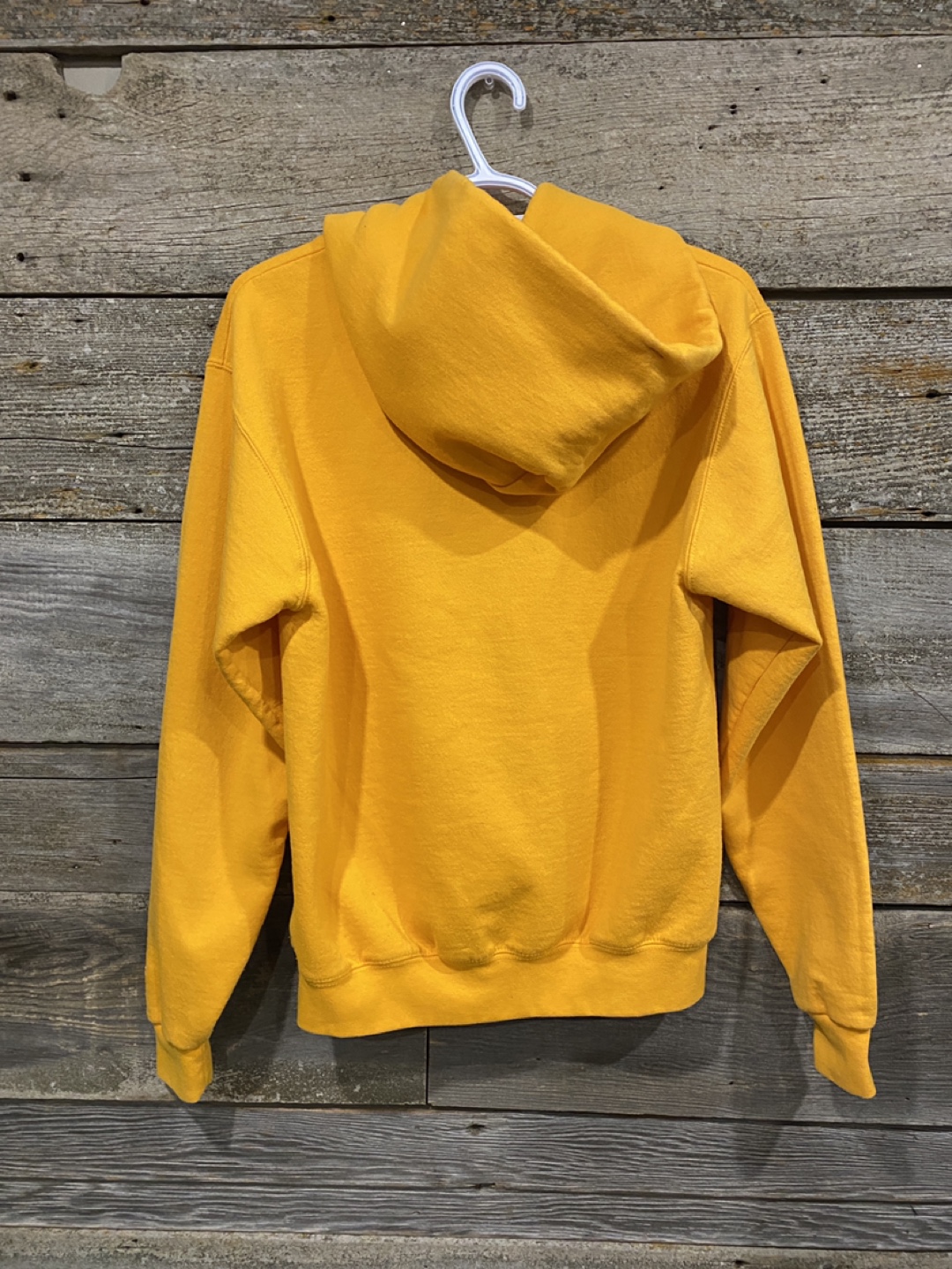 Champion Eco Powerblend Michigan University Hoodie - photo 2