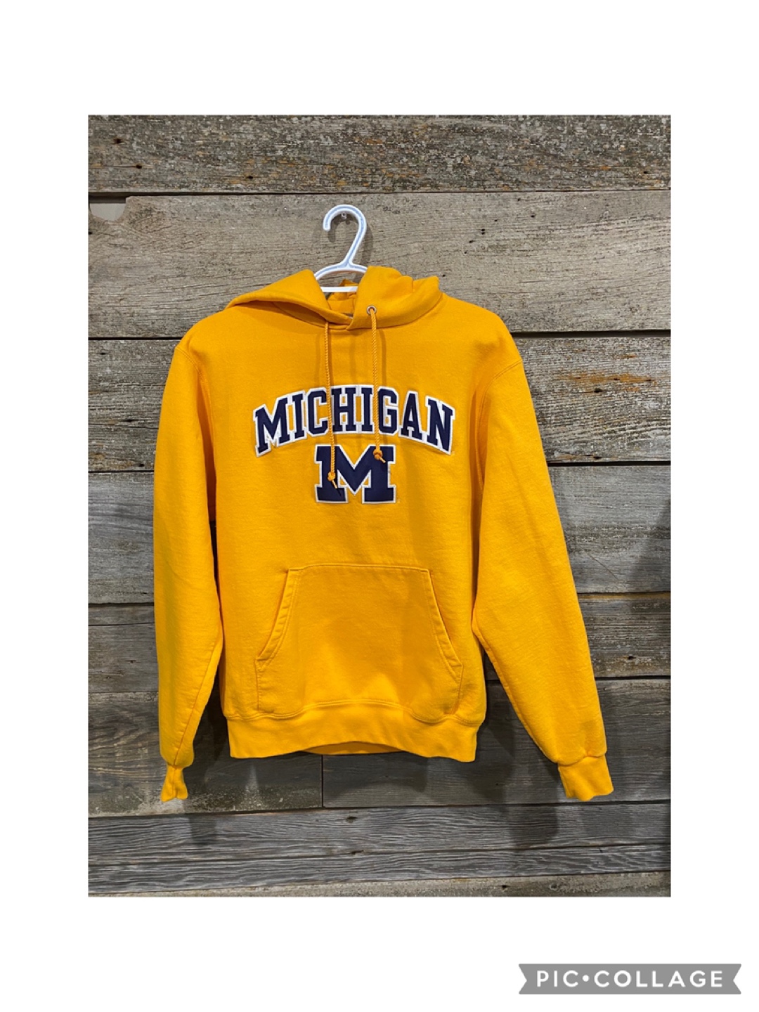 Champion Eco Powerblend Michigan University Hoodie