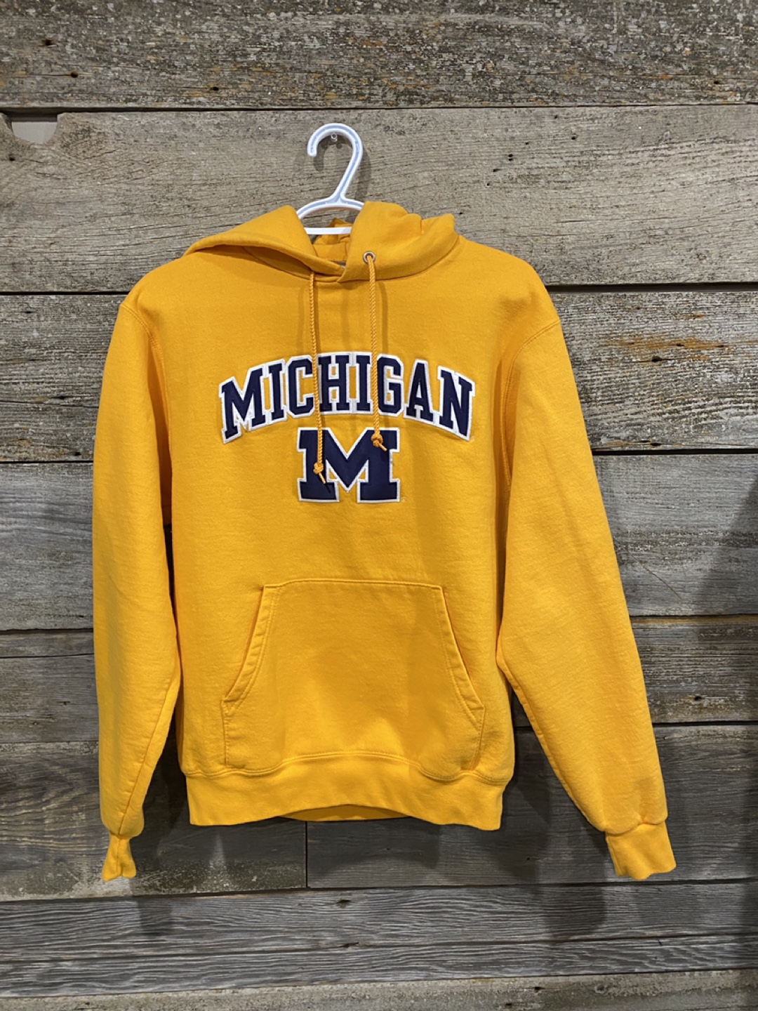 Champion Eco Powerblend Michigan University Hoodie - photo 3