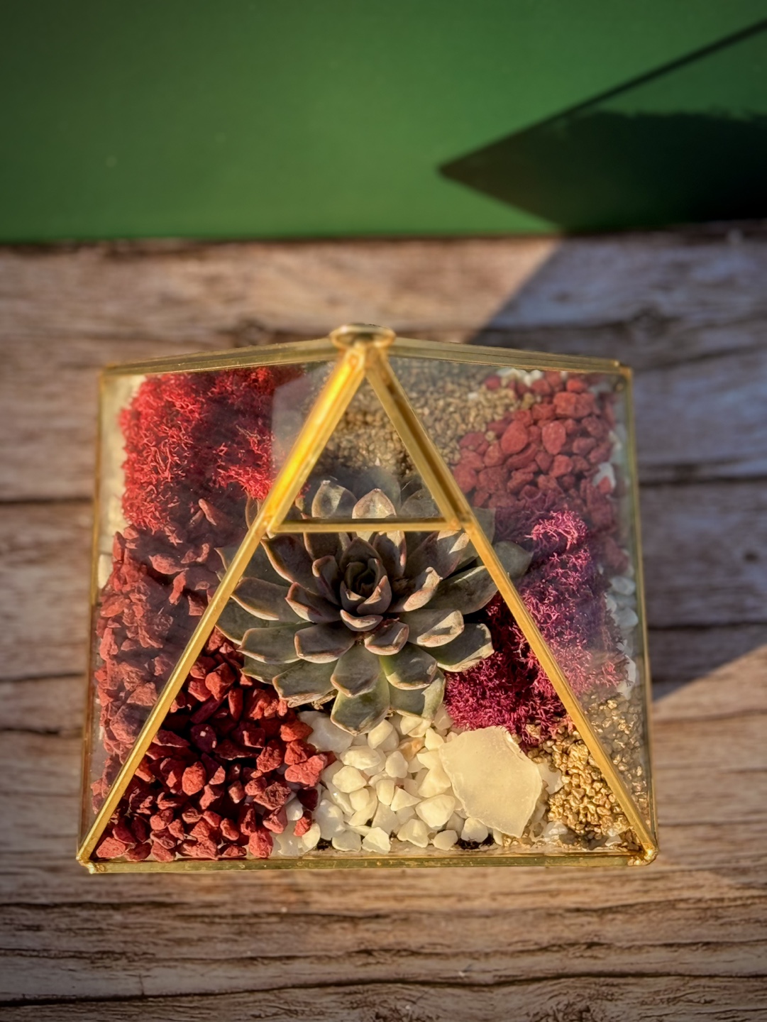 Geometric triangle succulent terrarium - photo 3