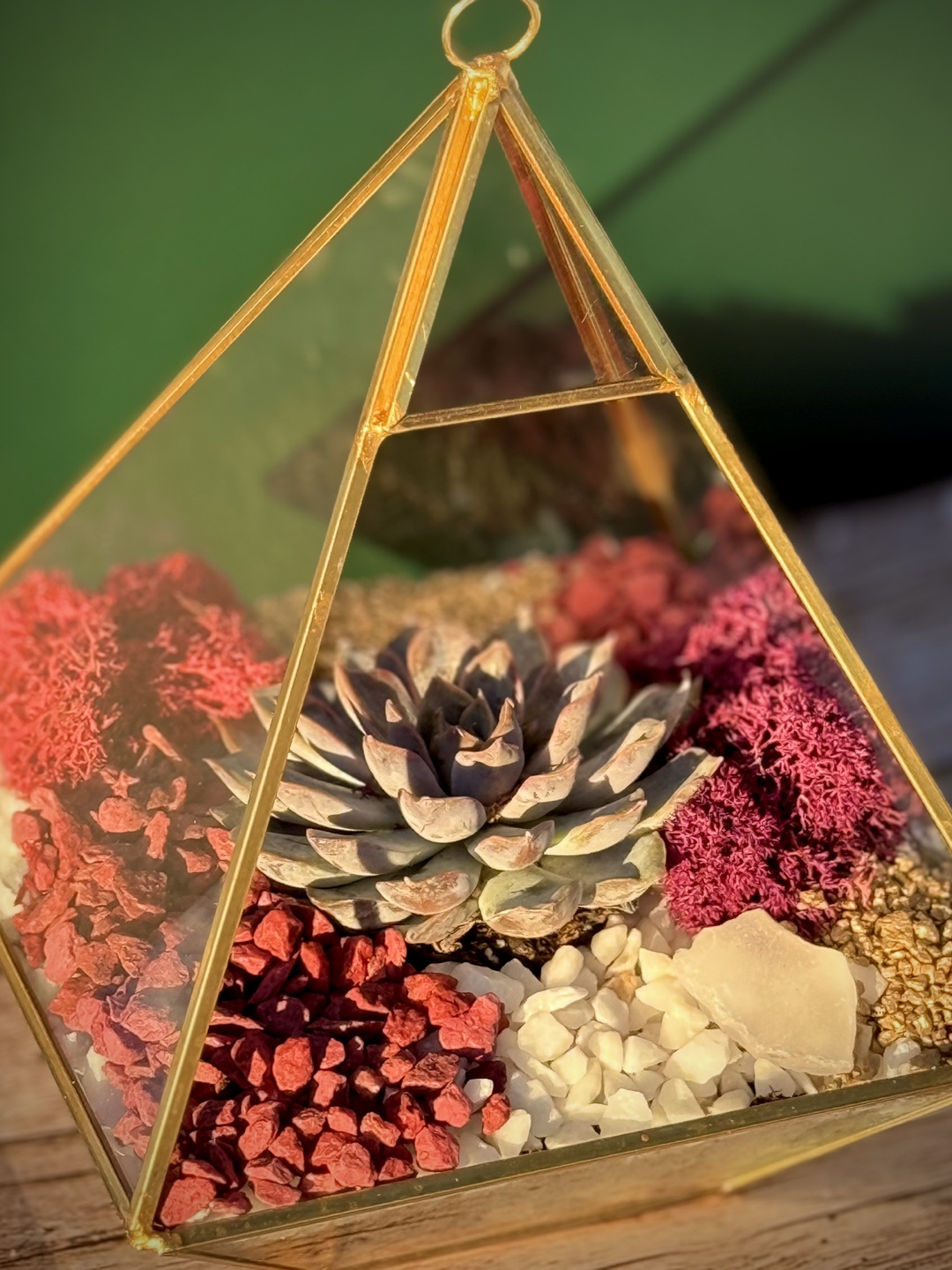 Geometric triangle succulent terrarium