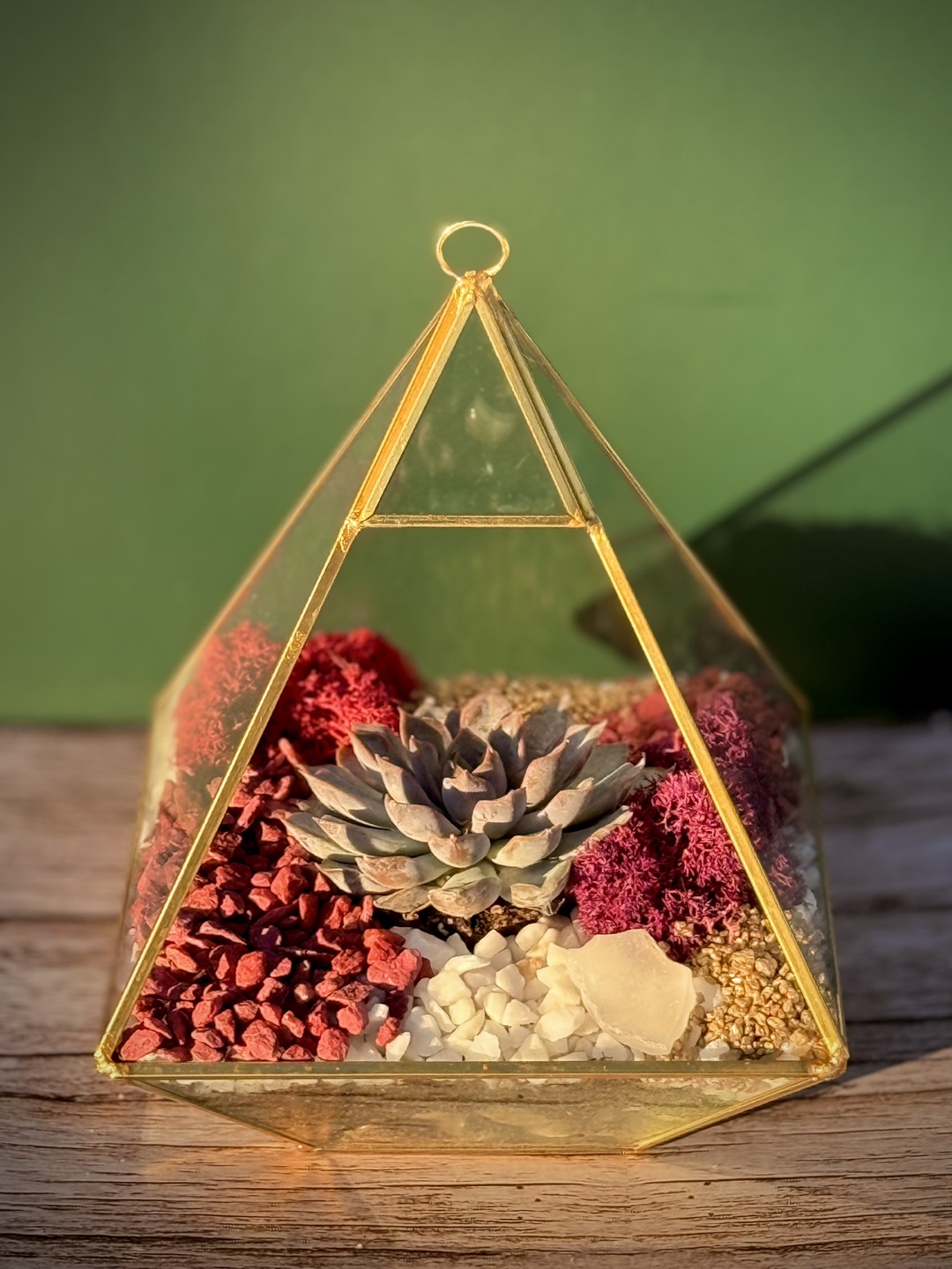 Geometric triangle succulent terrarium - photo 2