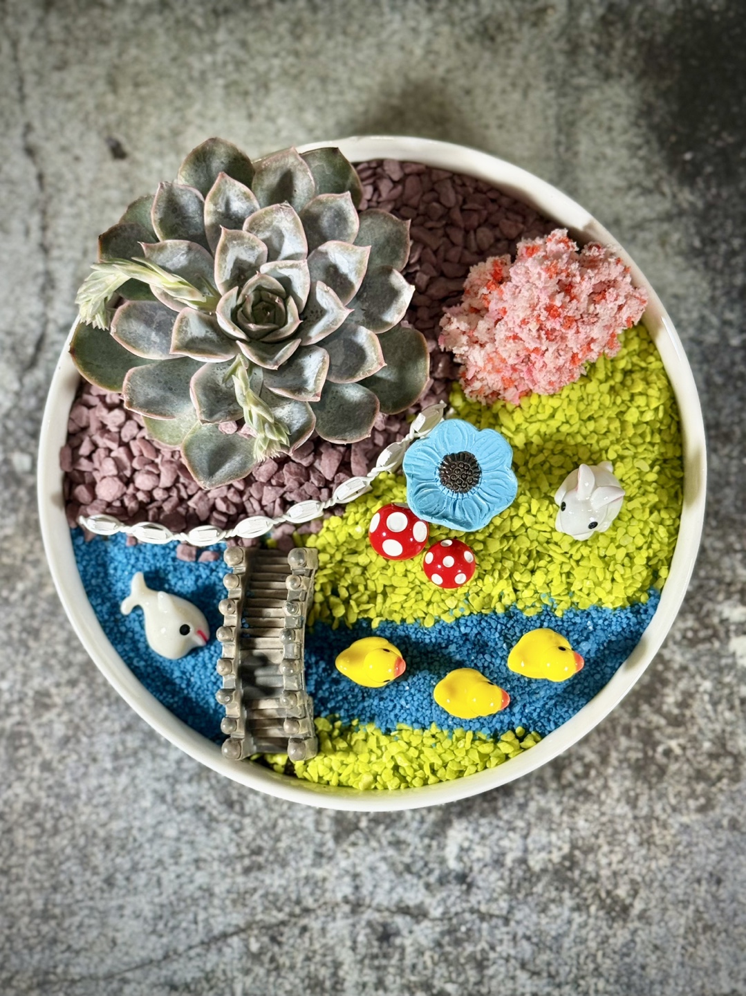 Rabbit themed, succulent miniature garden - photo 3