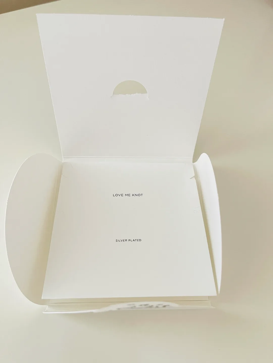 Estella Bartlett Love Me Knot Necklace and Earrings Set image indicator(4)