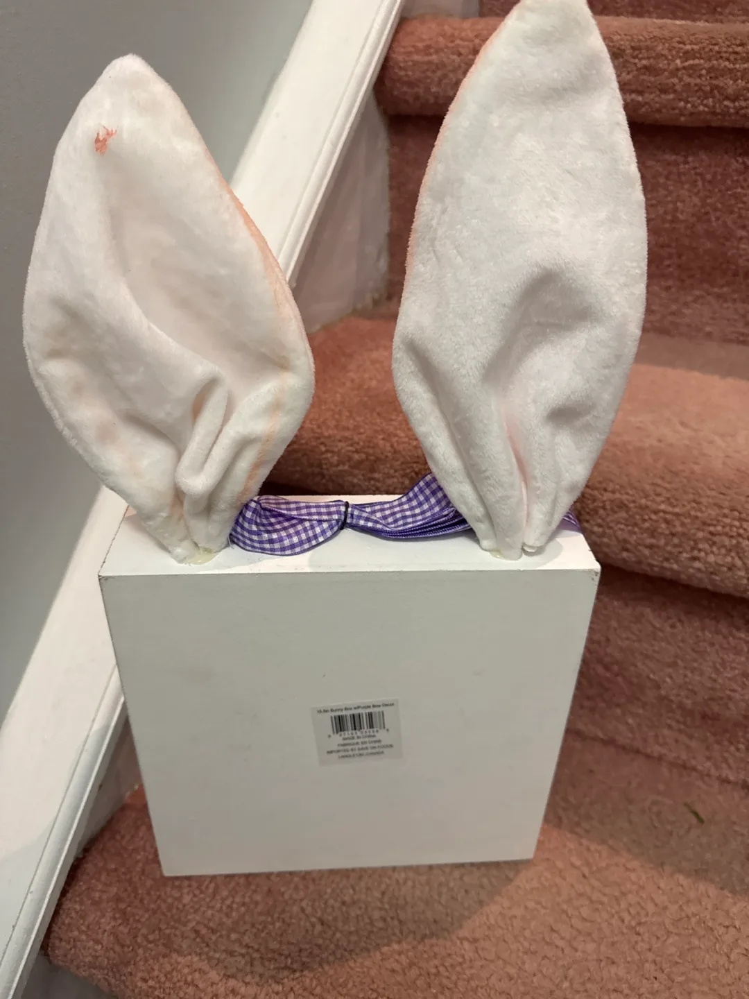 Adorable Easter Bunny Box image indicator(2)