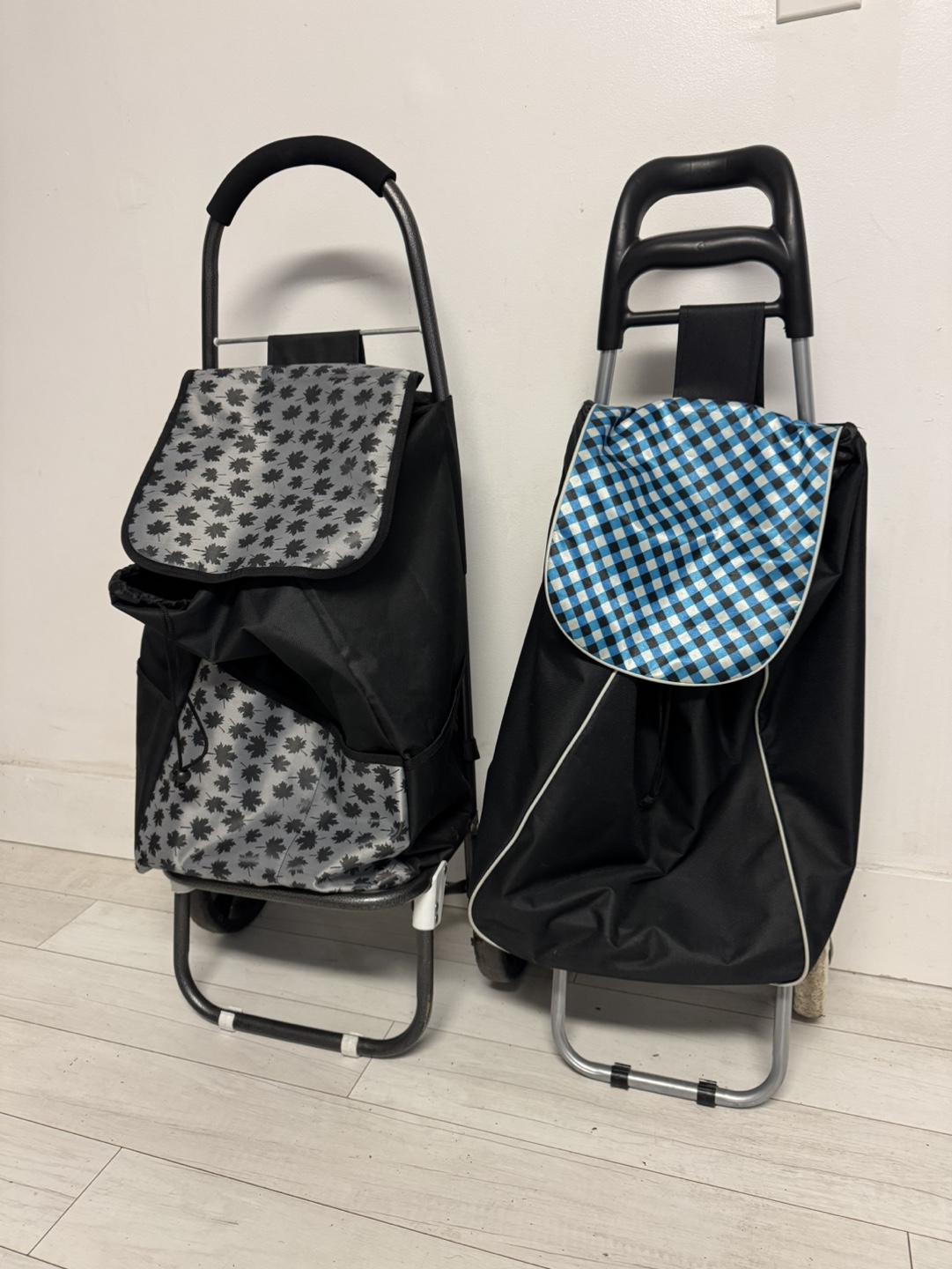 Two Shopping Carts - photo 2