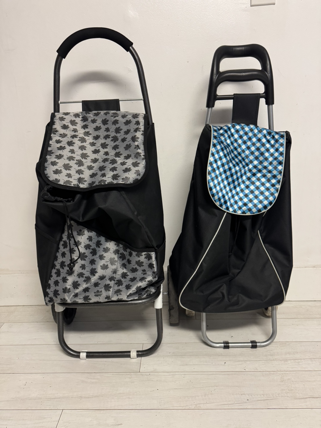 Two Shopping Carts